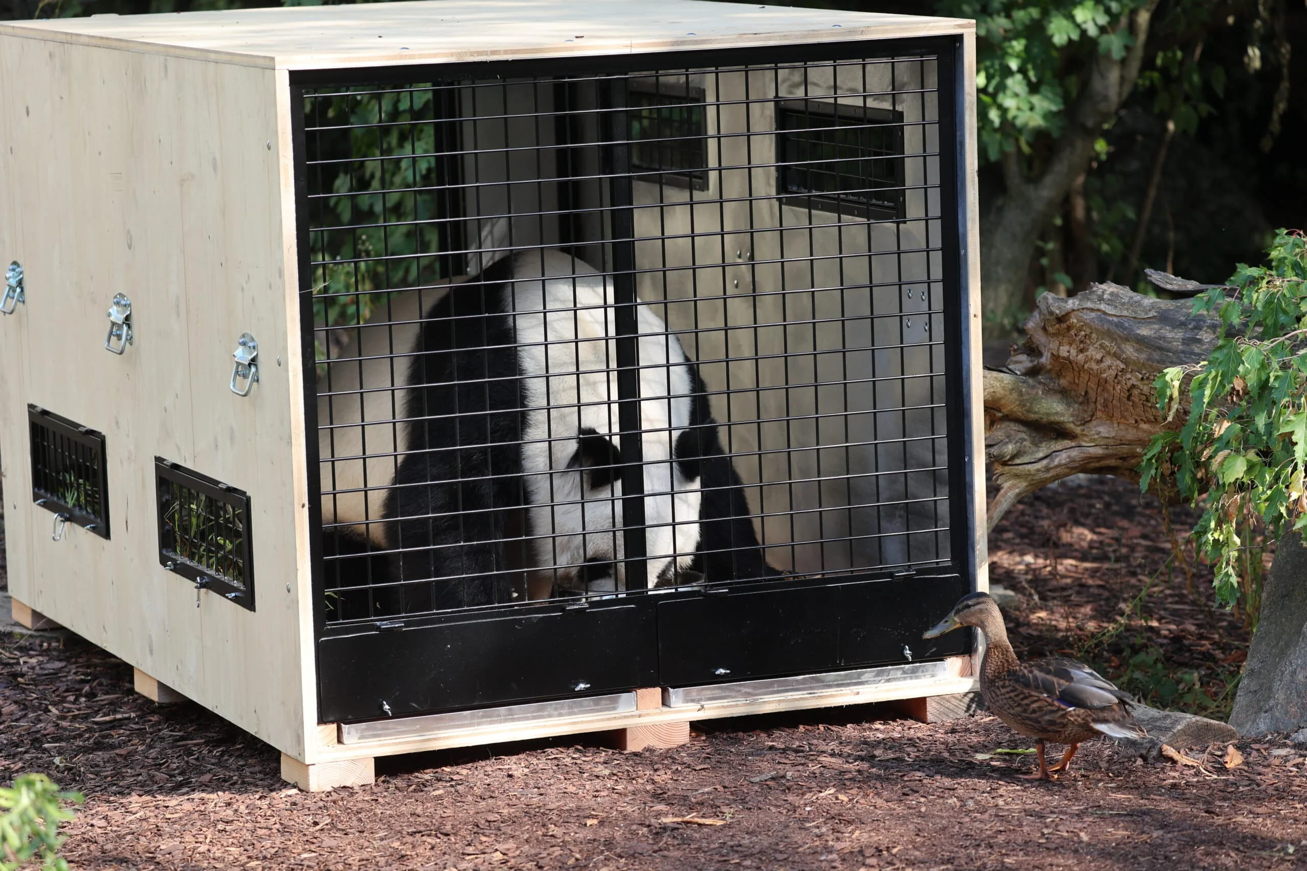 Tiergarten Schönbrunn