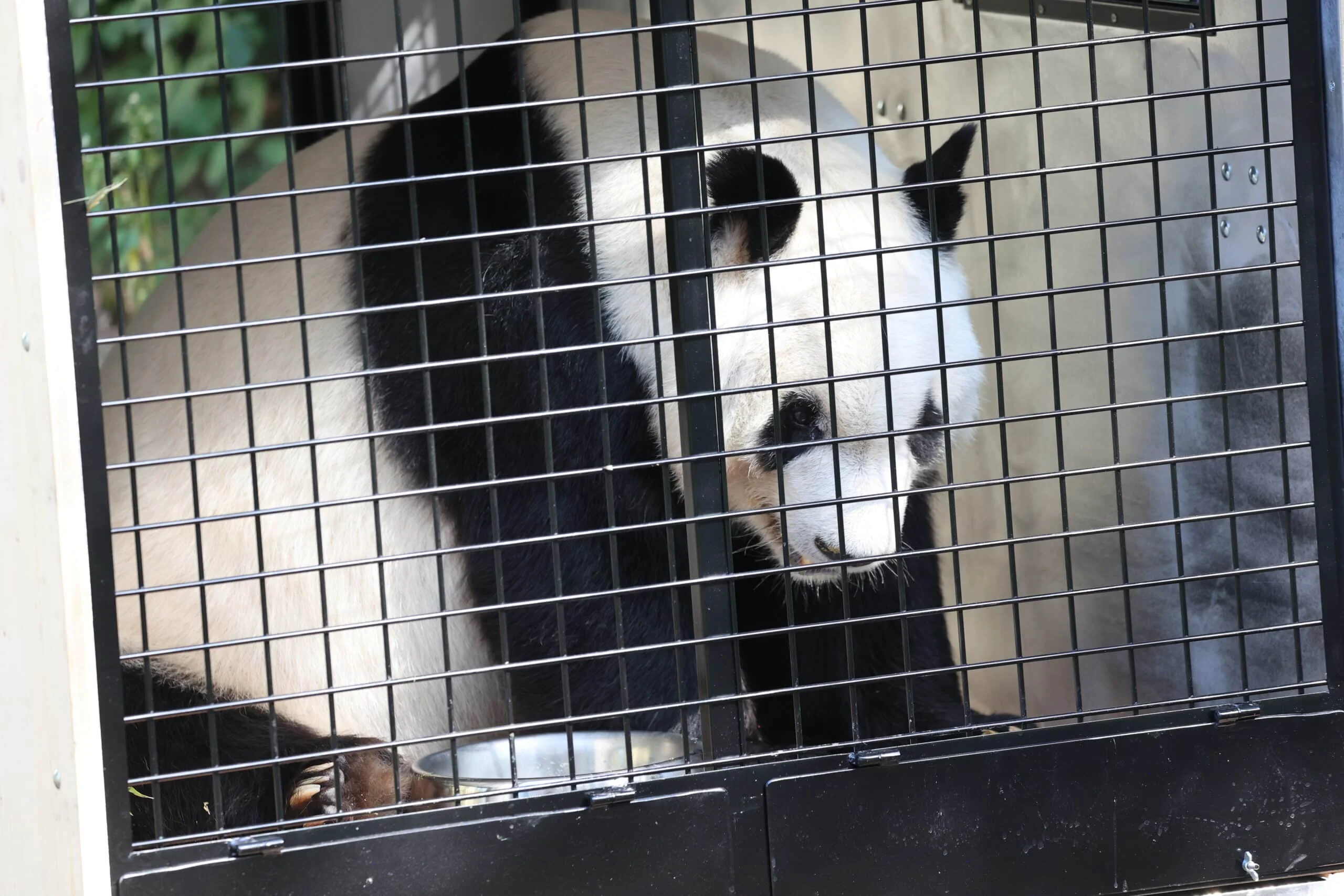 Tiergarten Schönbrunn