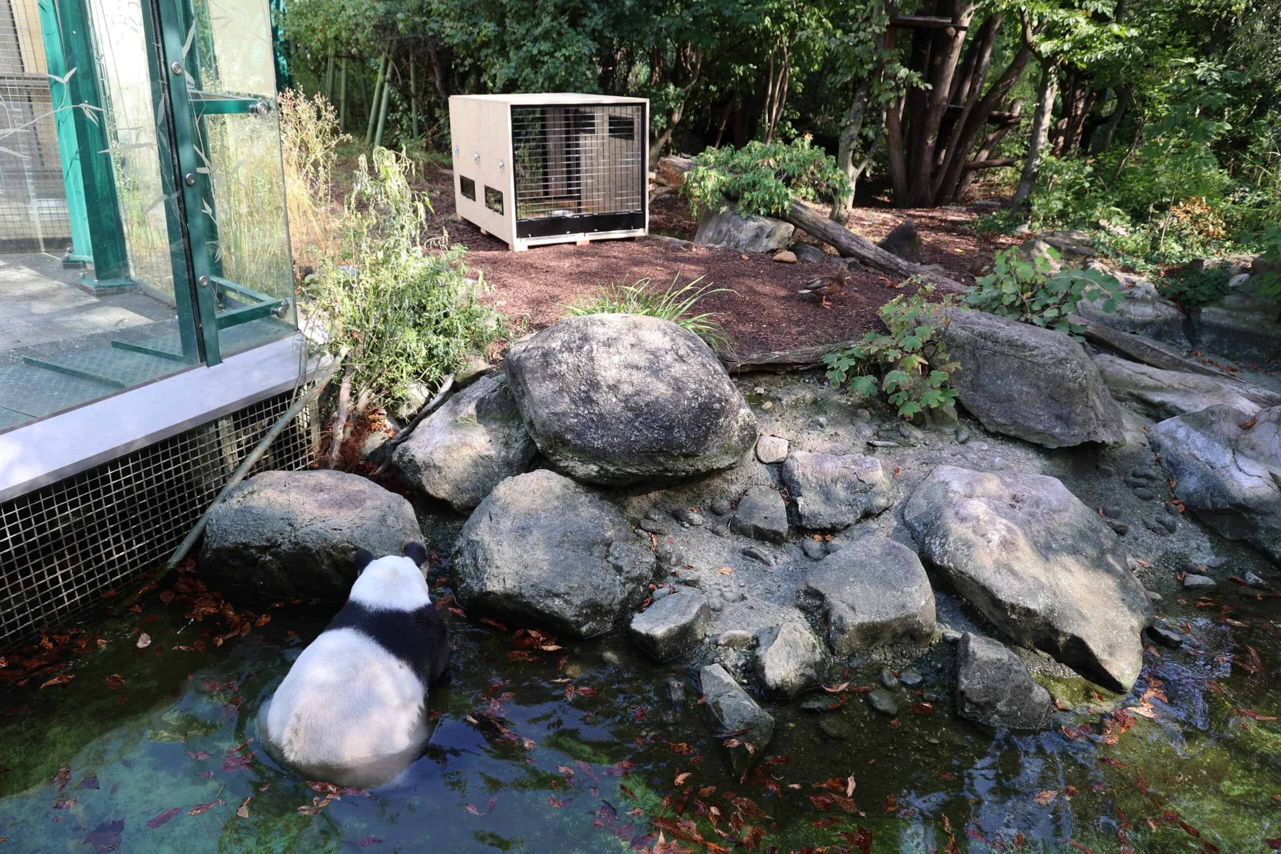 Tiergarten Schönbrunn