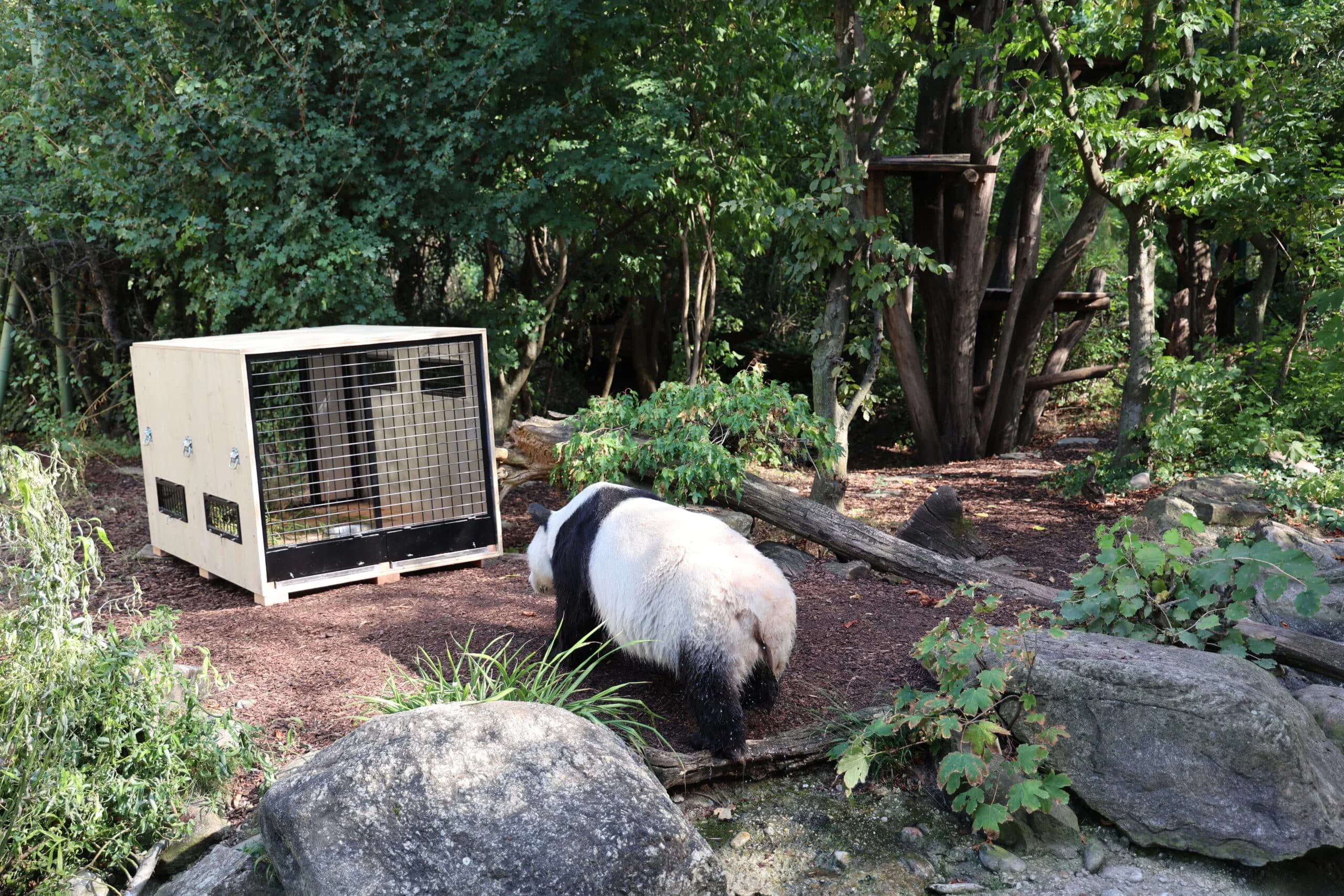 Tiergarten Schönbrunn