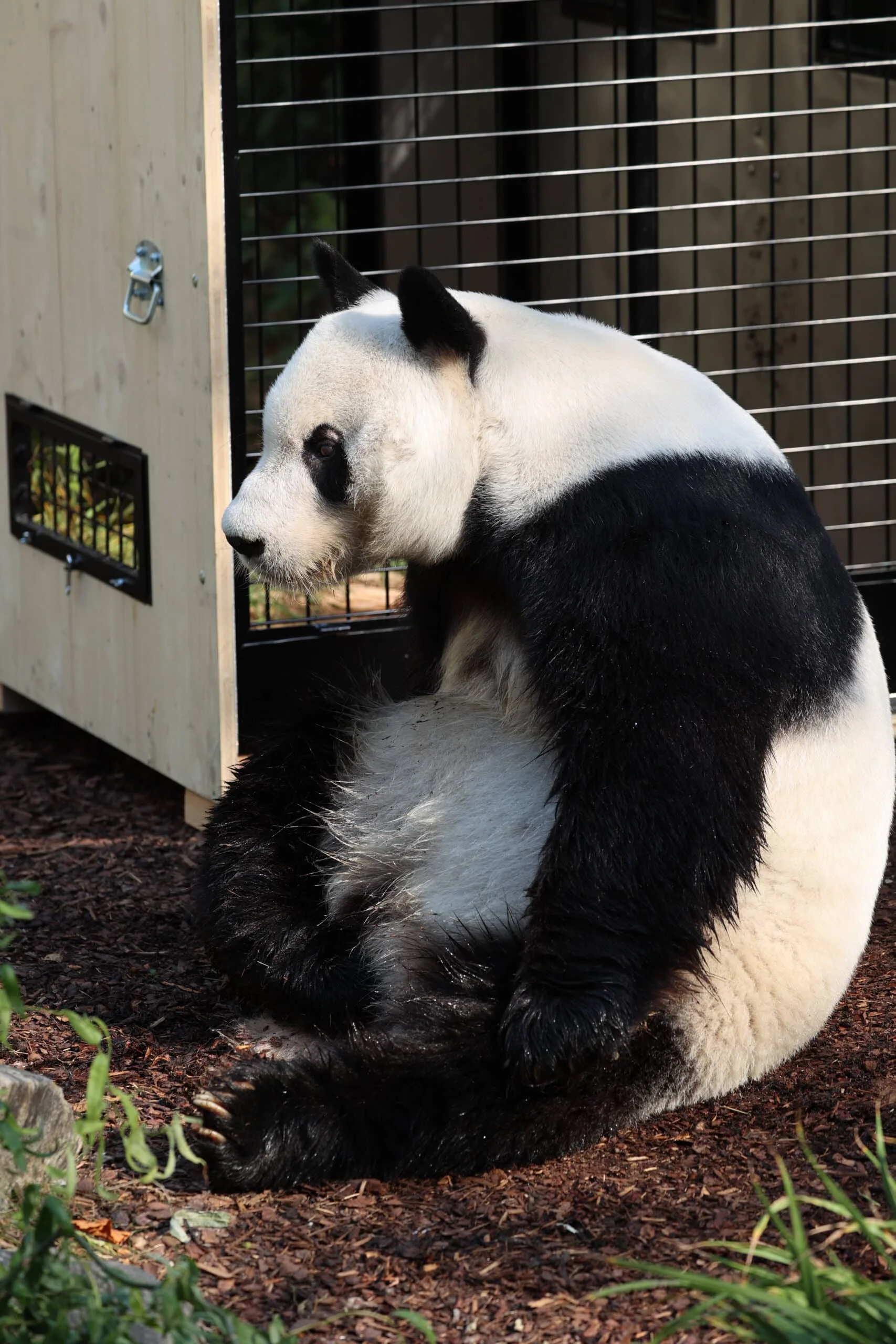 Tiergarten Schönbrunn