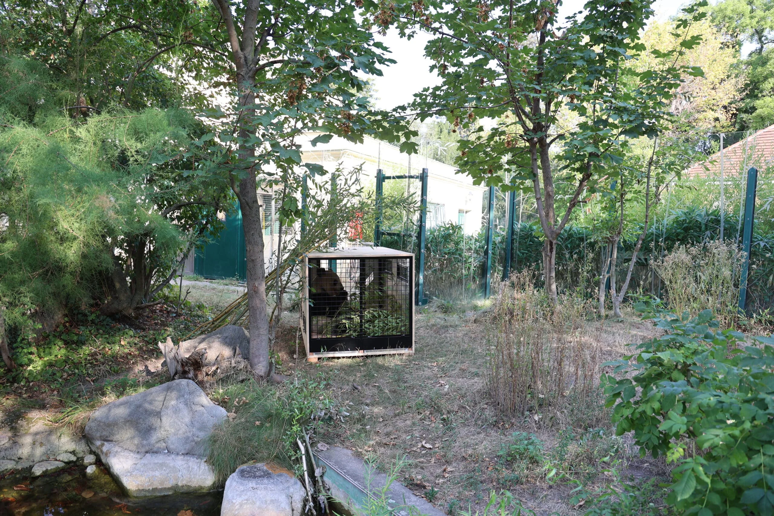 Tiergarten Schönbrunn