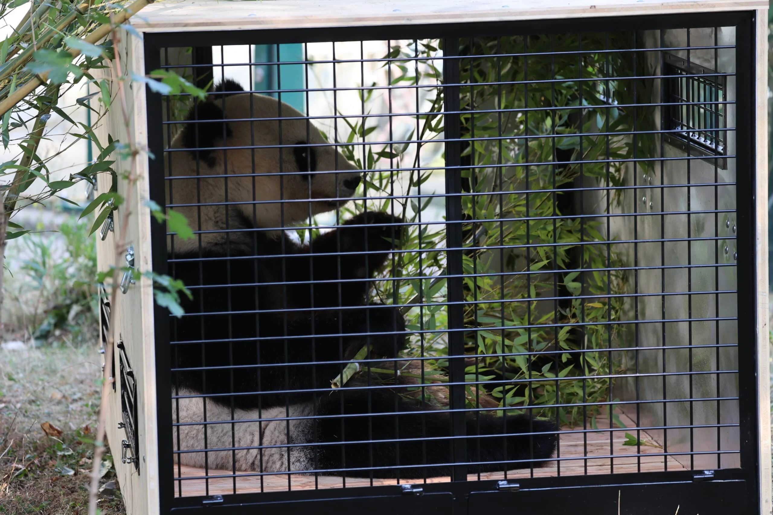 Tiergarten Schönbrunn