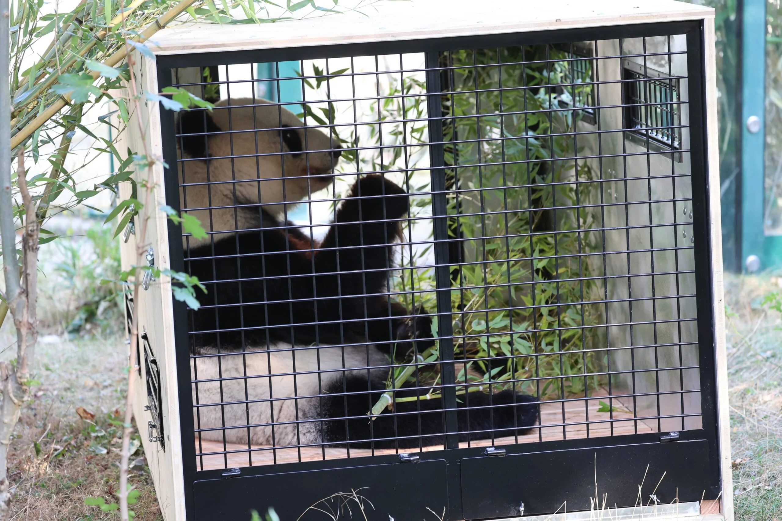 Tiergarten Schönbrunn