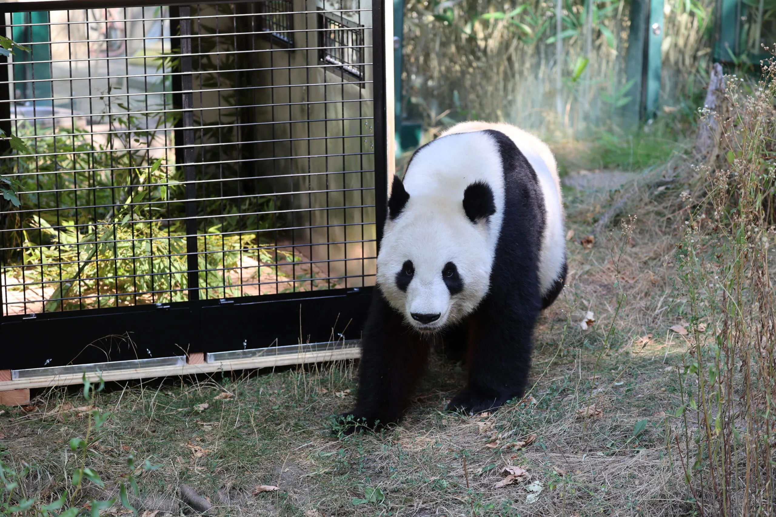 Tiergarten Schönbrunn