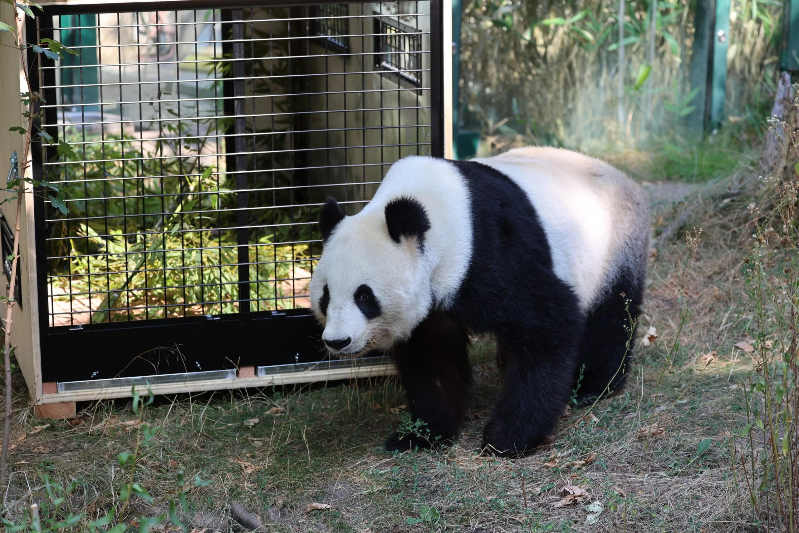 Tiergarten Schönbrunn