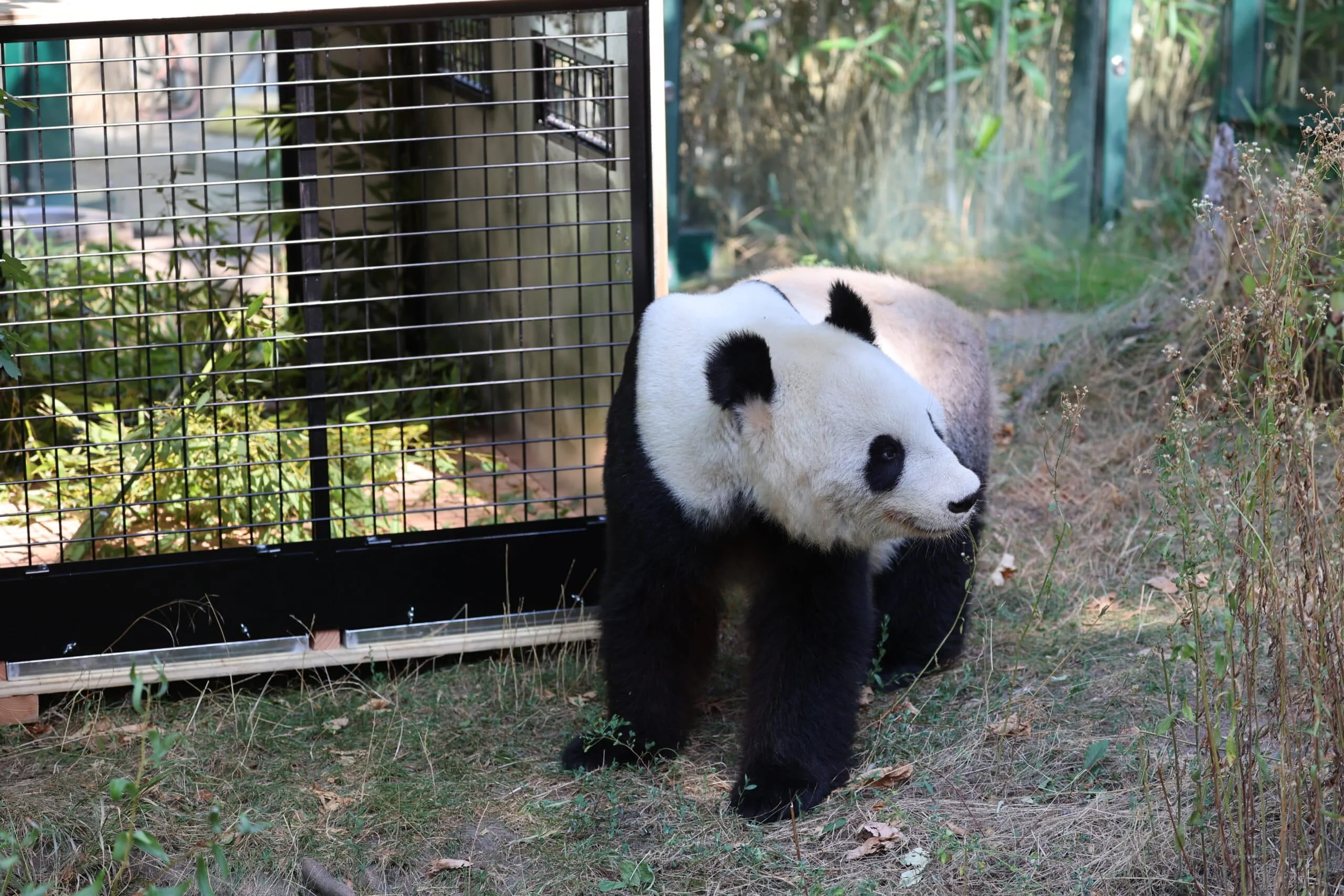 Tiergarten Schönbrunn