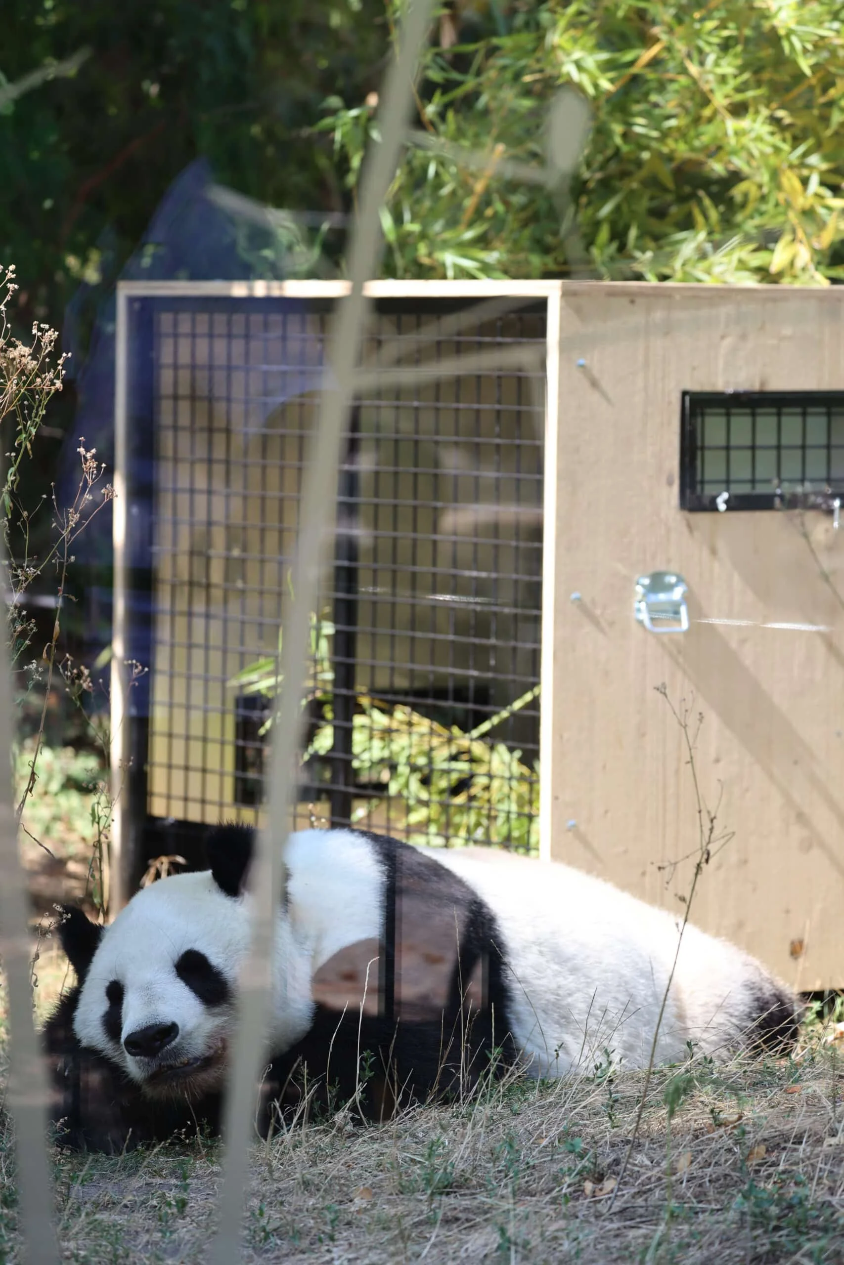 Tiergarten Schönbrunn