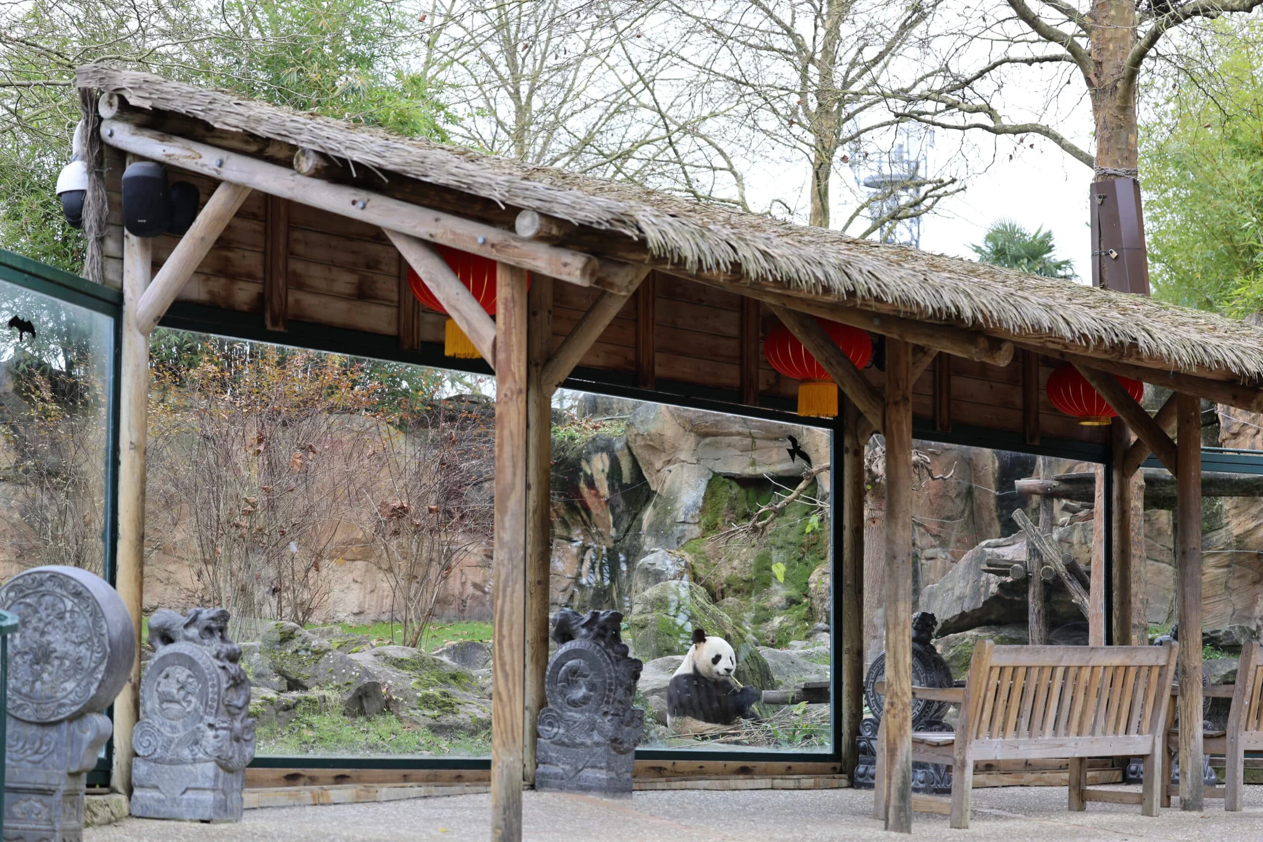 ZooParc de Beauval