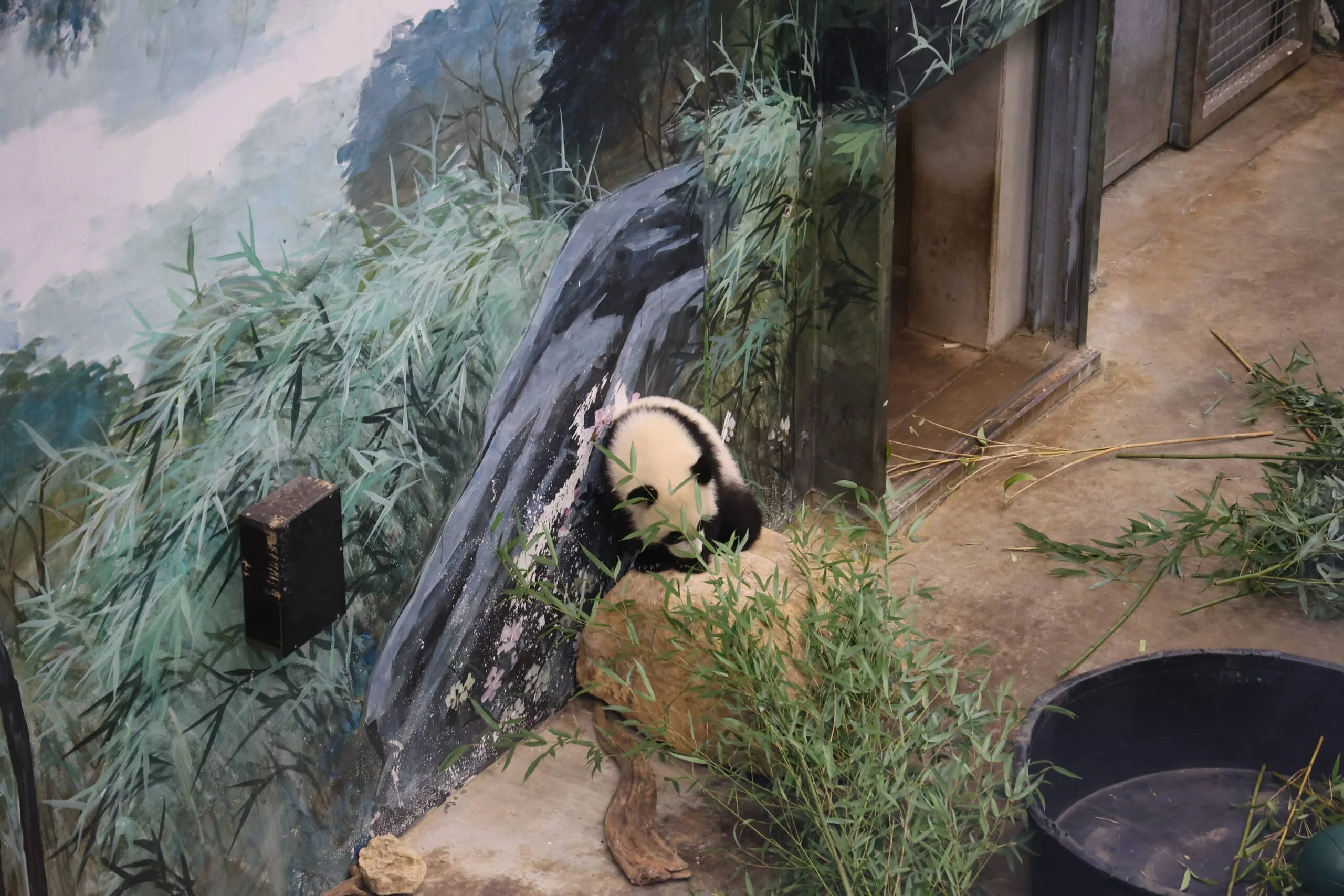 Ouwehands Dierenpark Rhenen