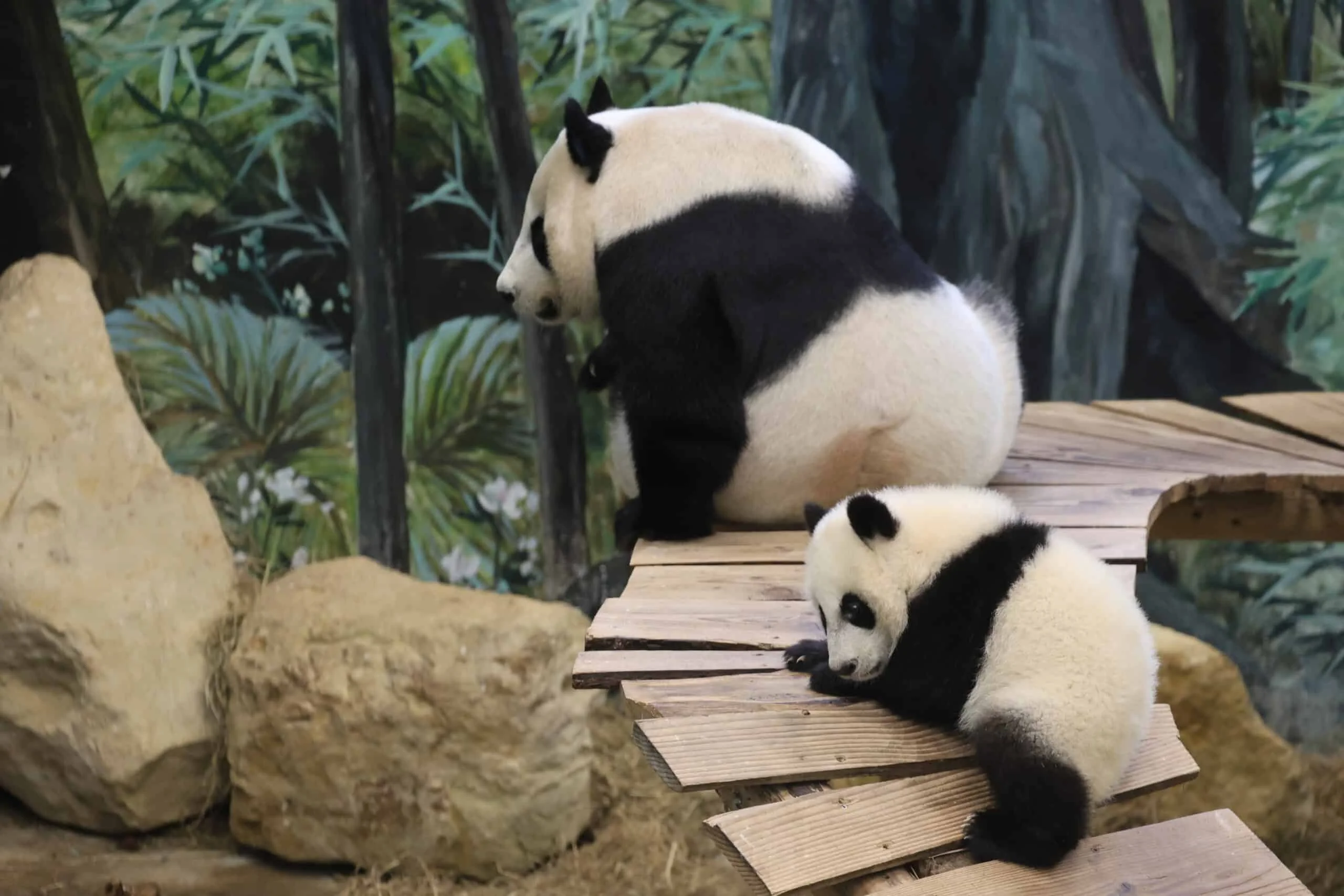 Ouwehands Dierenpark Rhenen