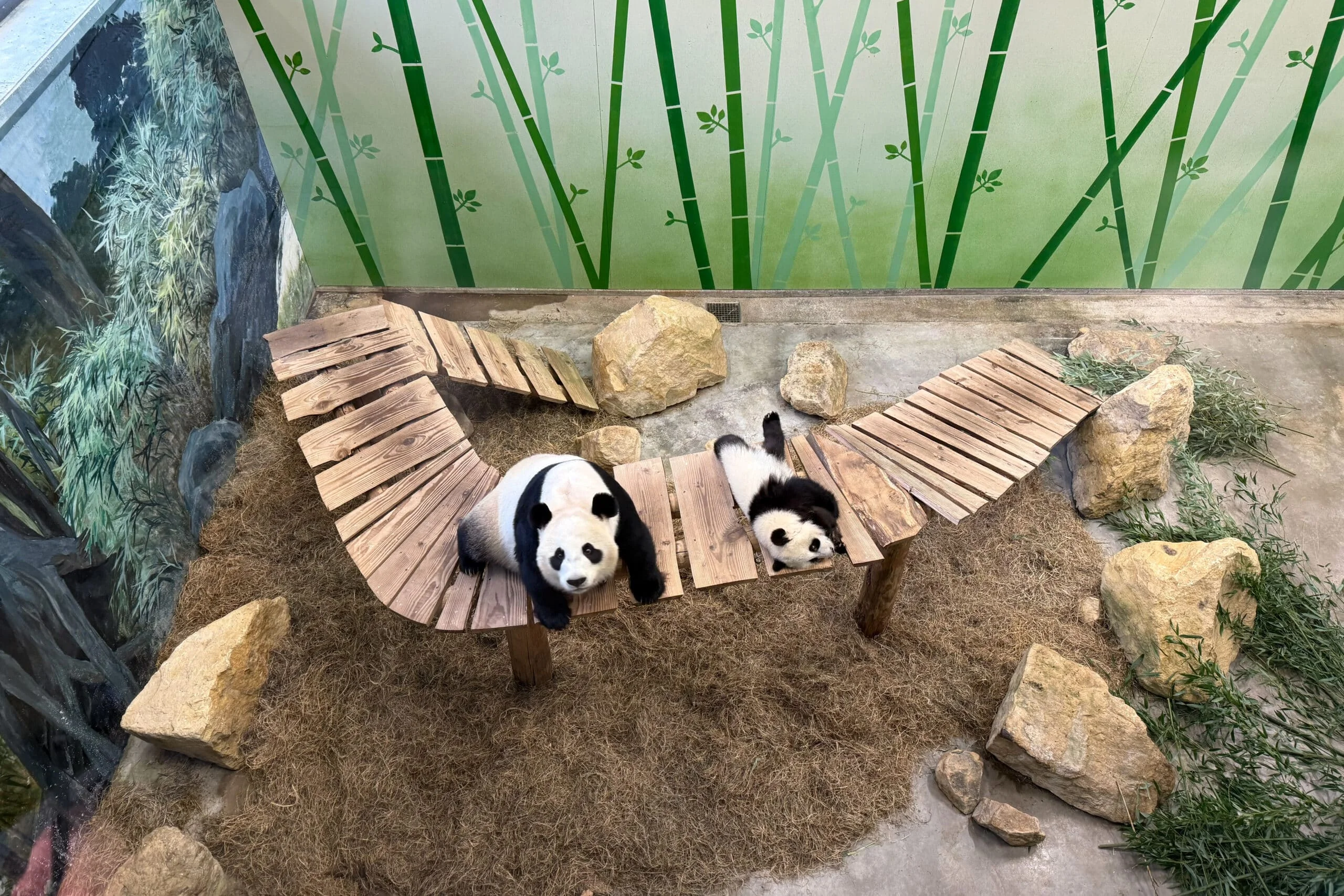 Ouwehands Dierenpark Rhenen