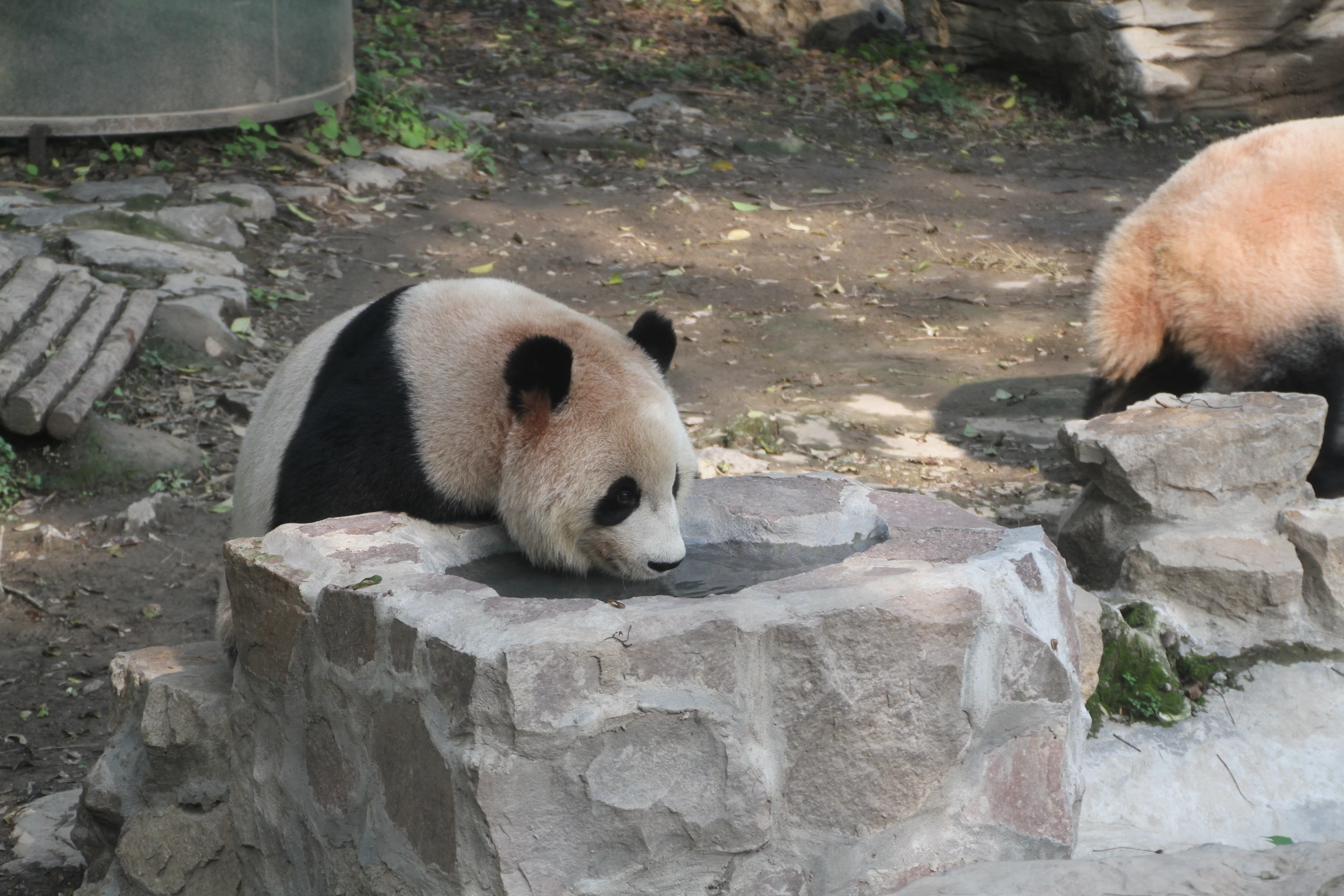 Shanghai Zoo