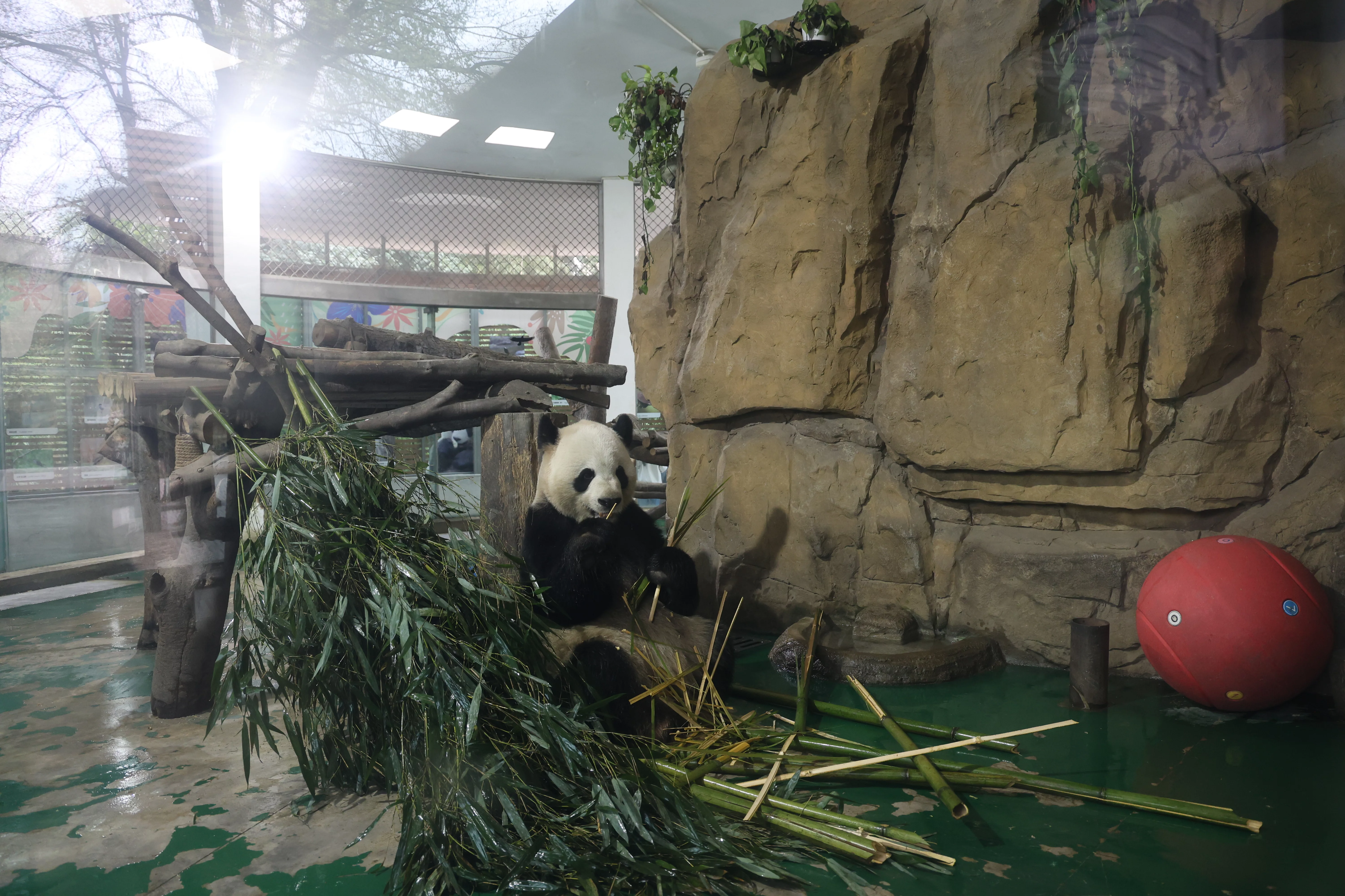 Chengdu Zoo
