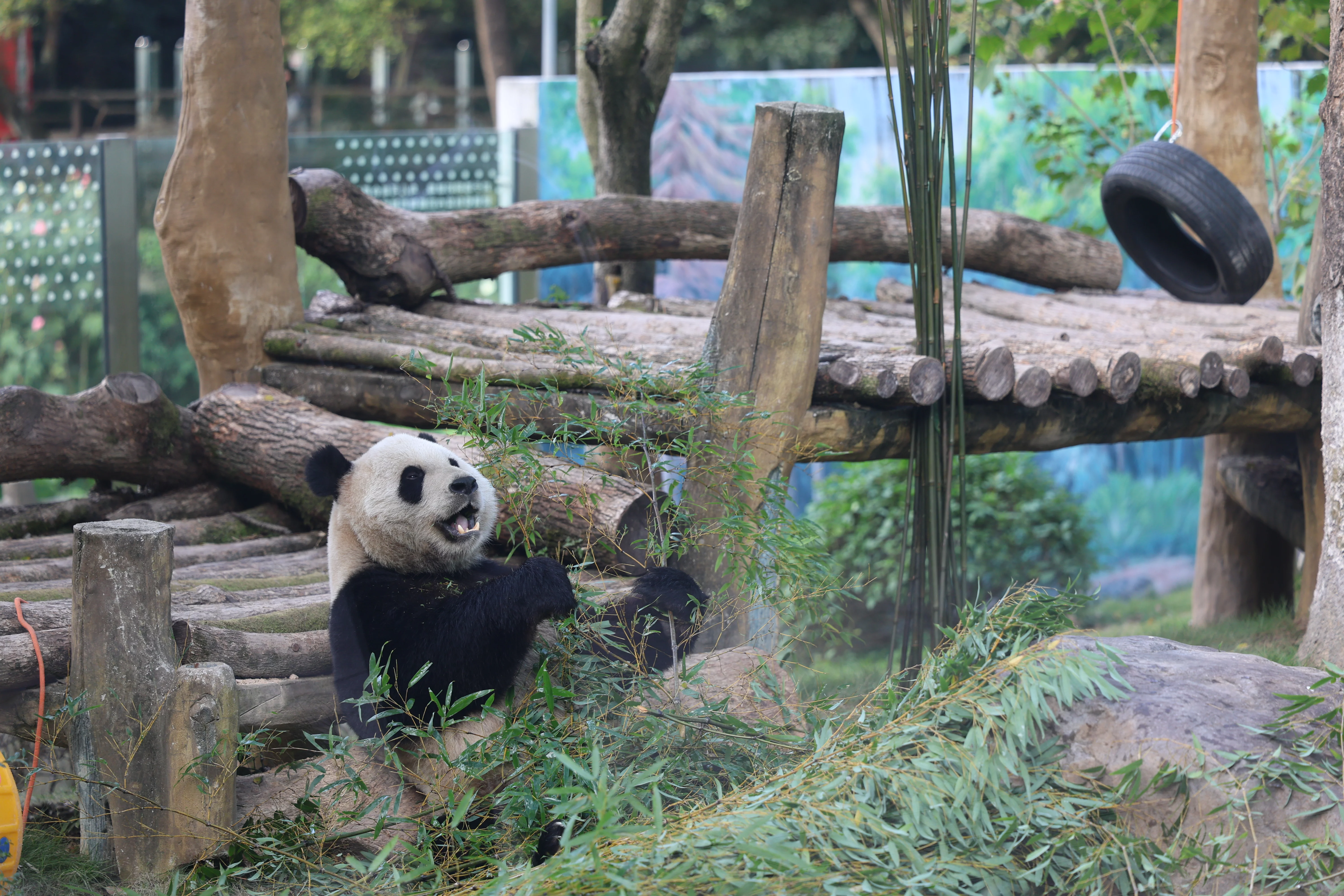Wenzhou Zoo