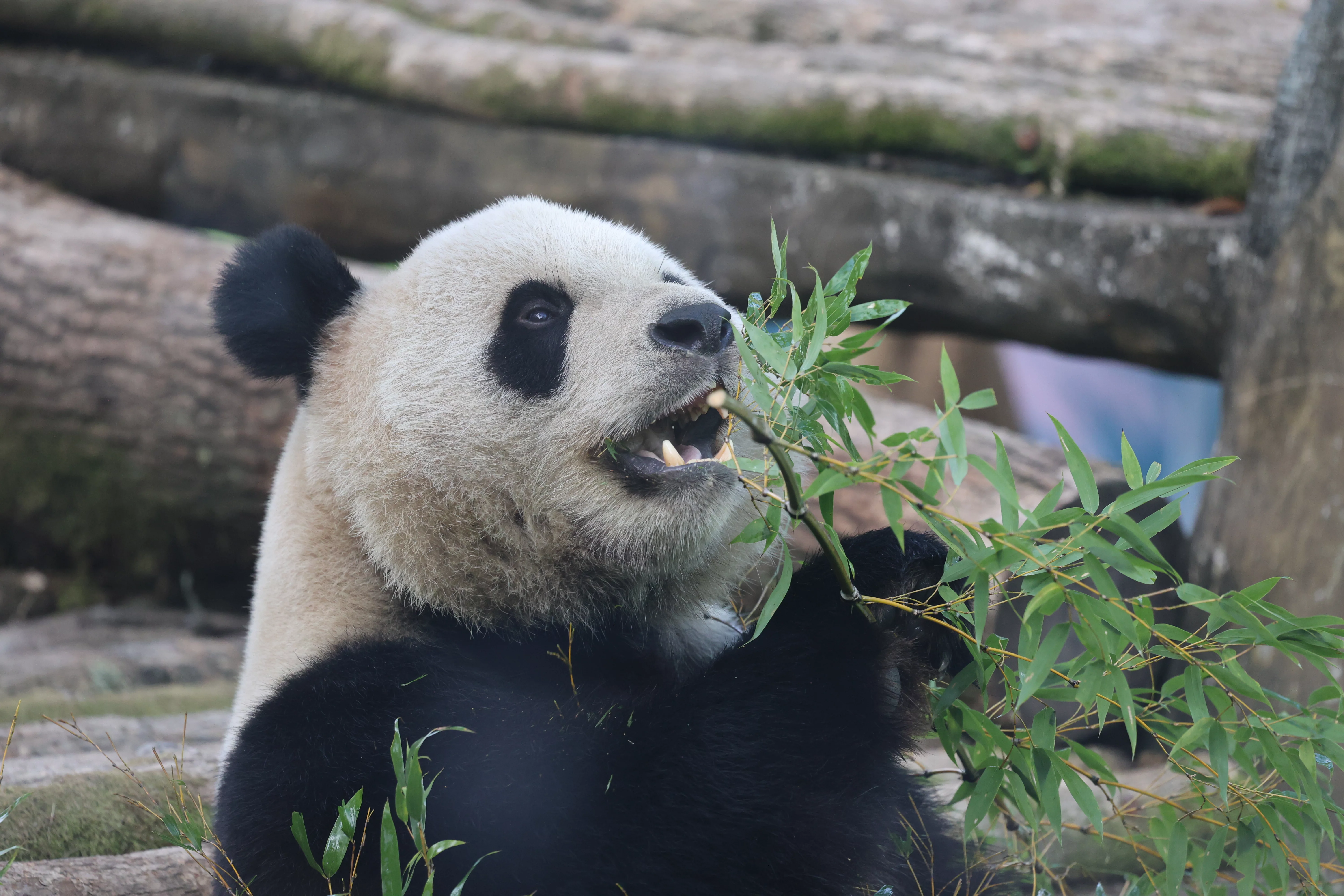 Wenzhou Zoo