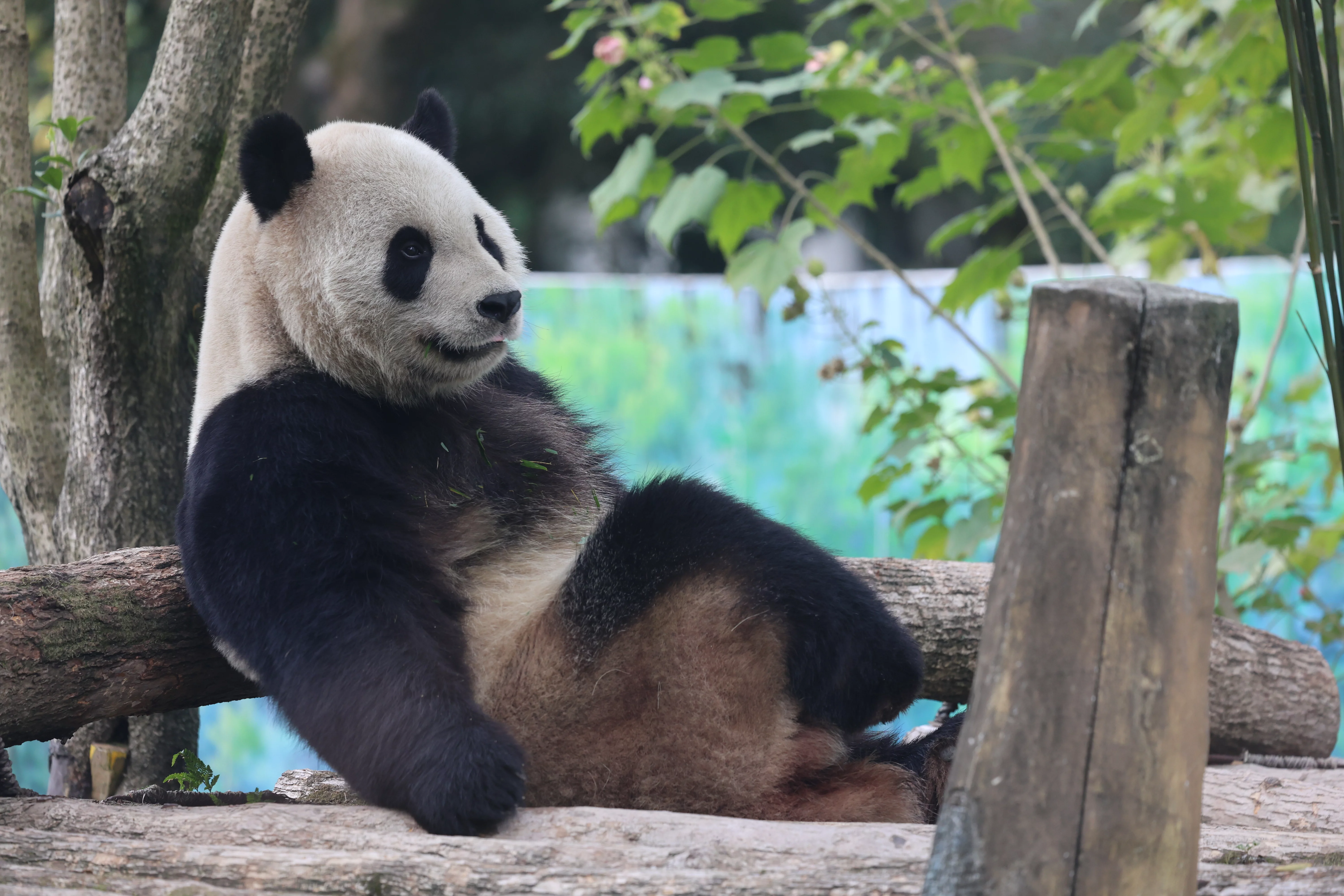 Wenzhou Zoo