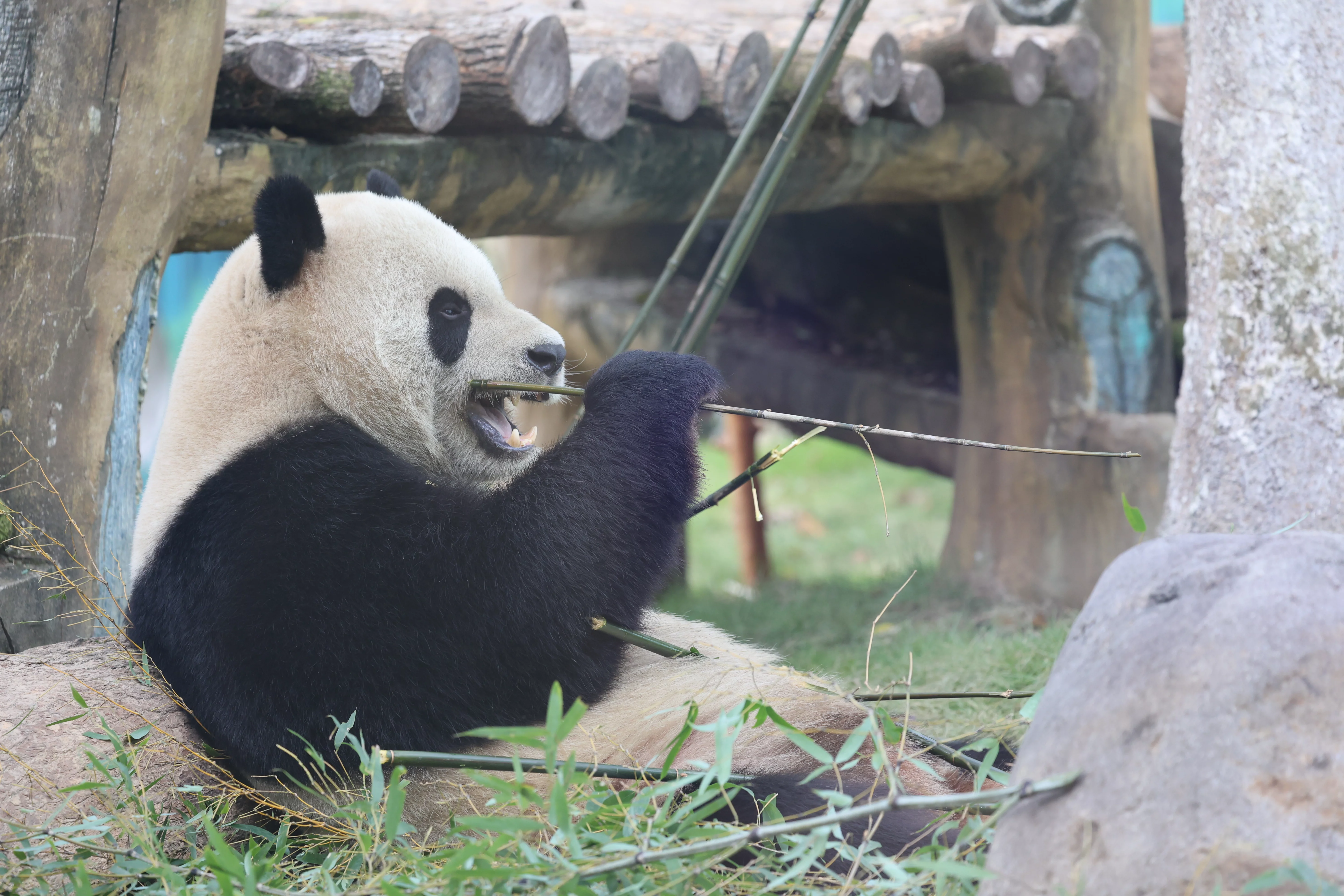 Wenzhou Zoo