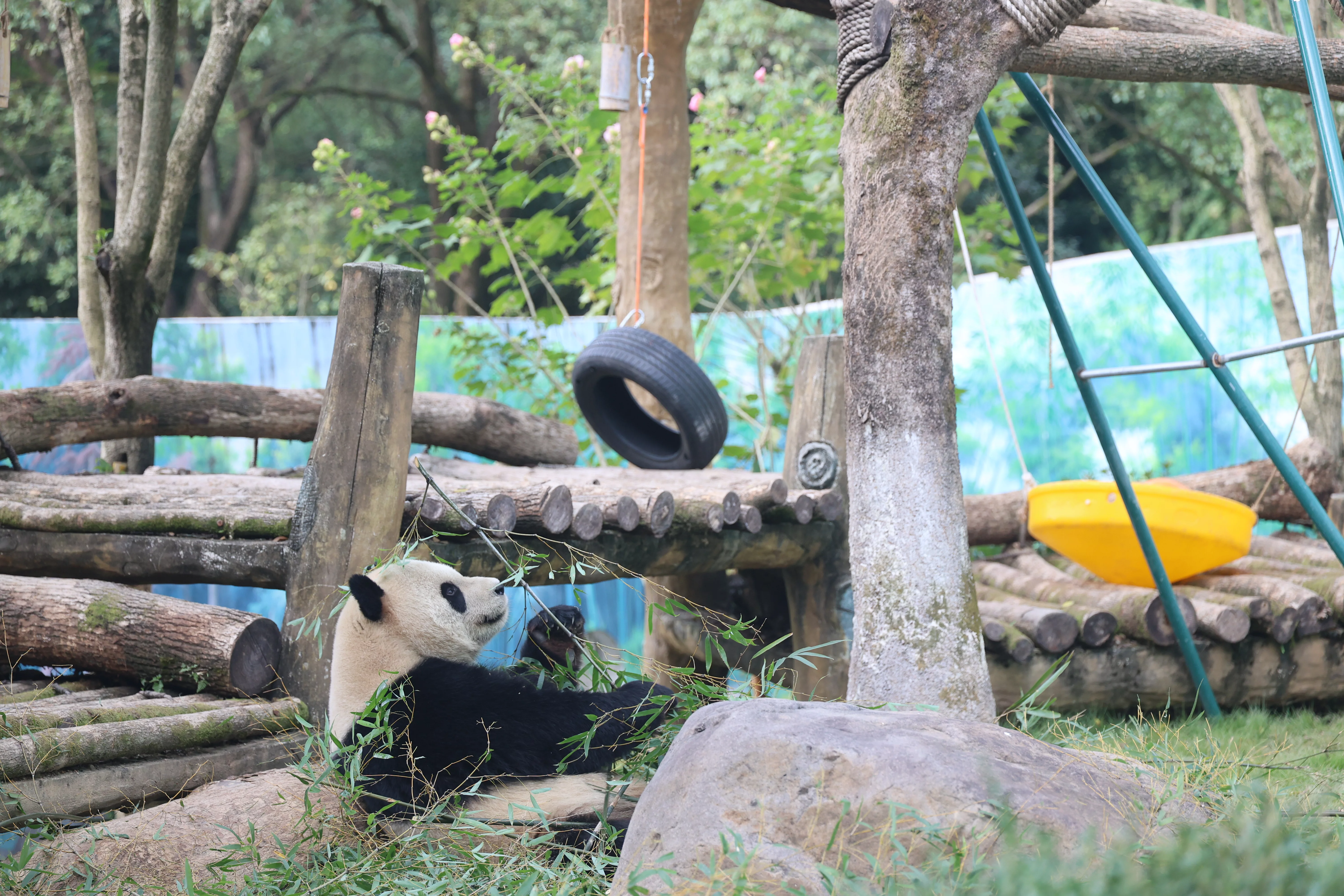 Wenzhou Zoo