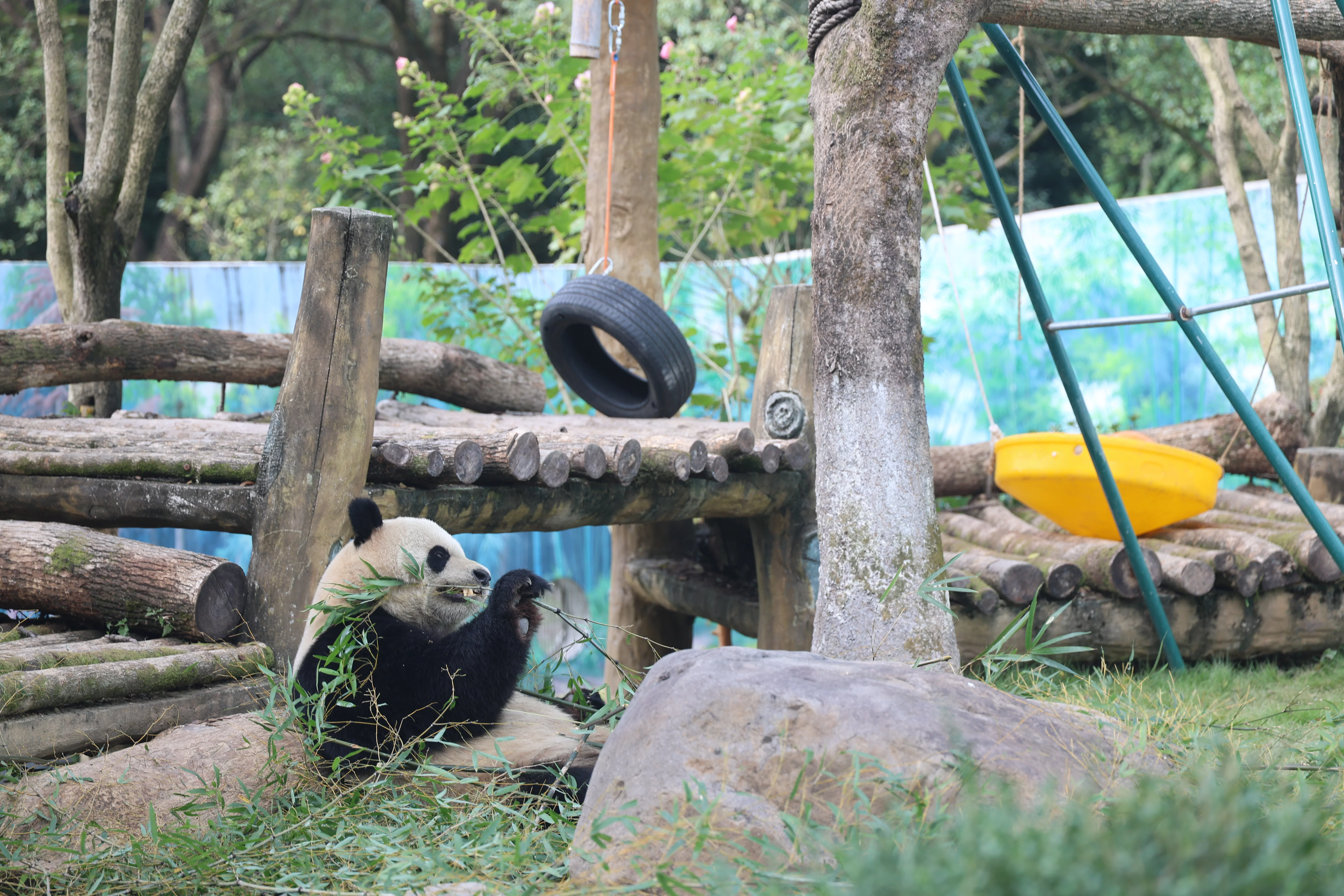 Wenzhou Zoo