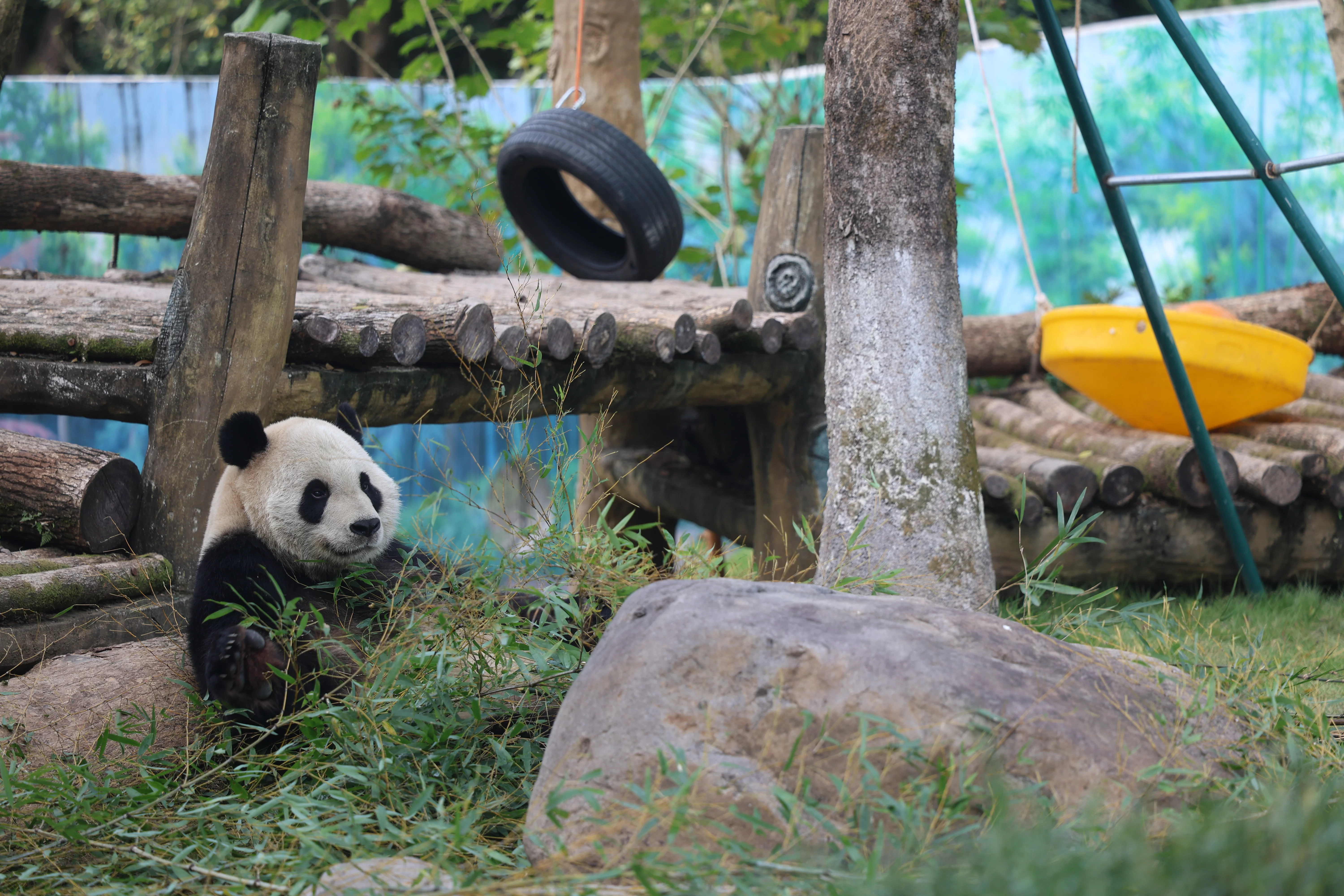 Wenzhou Zoo