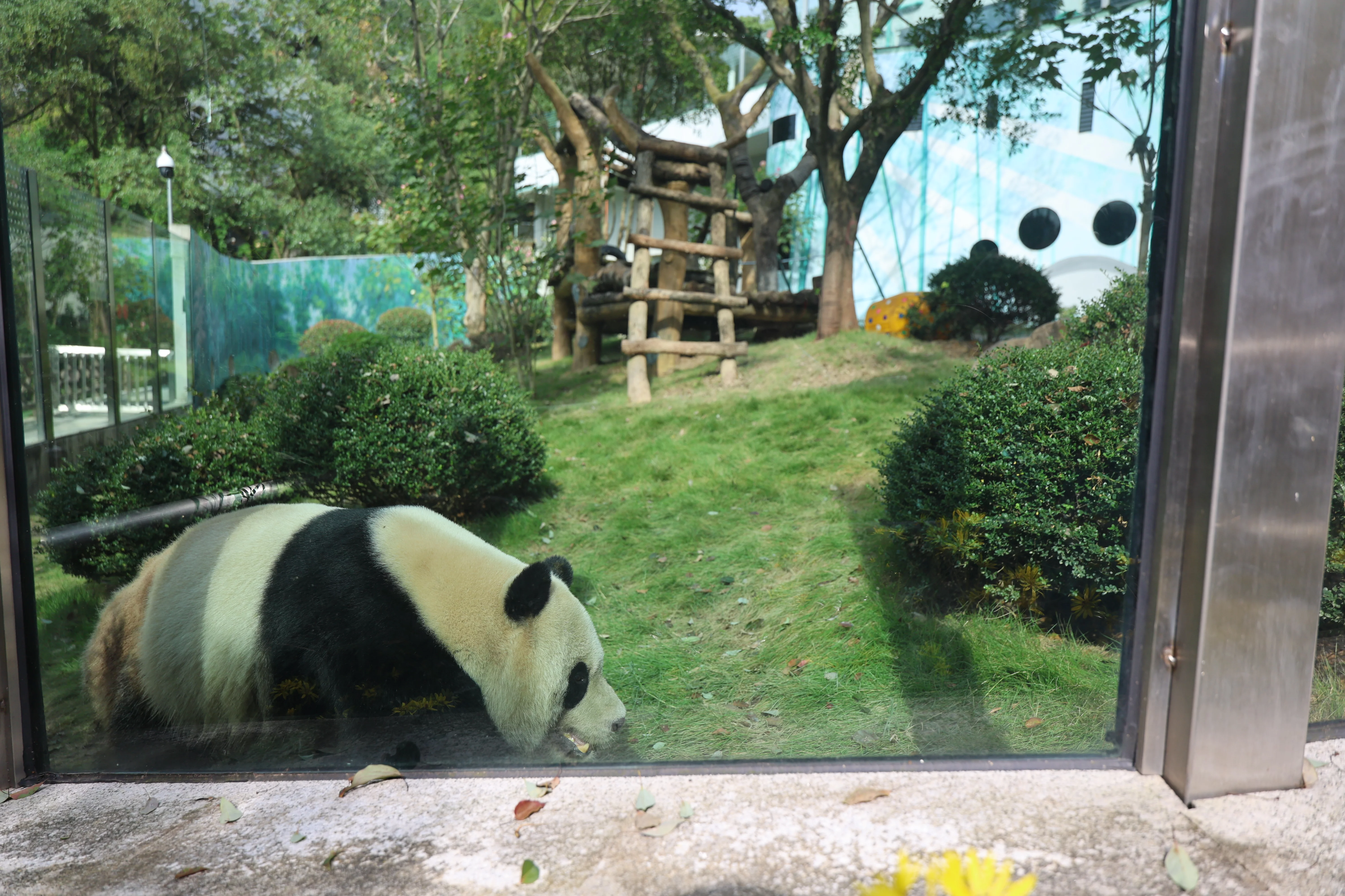 Wenzhou Zoo
