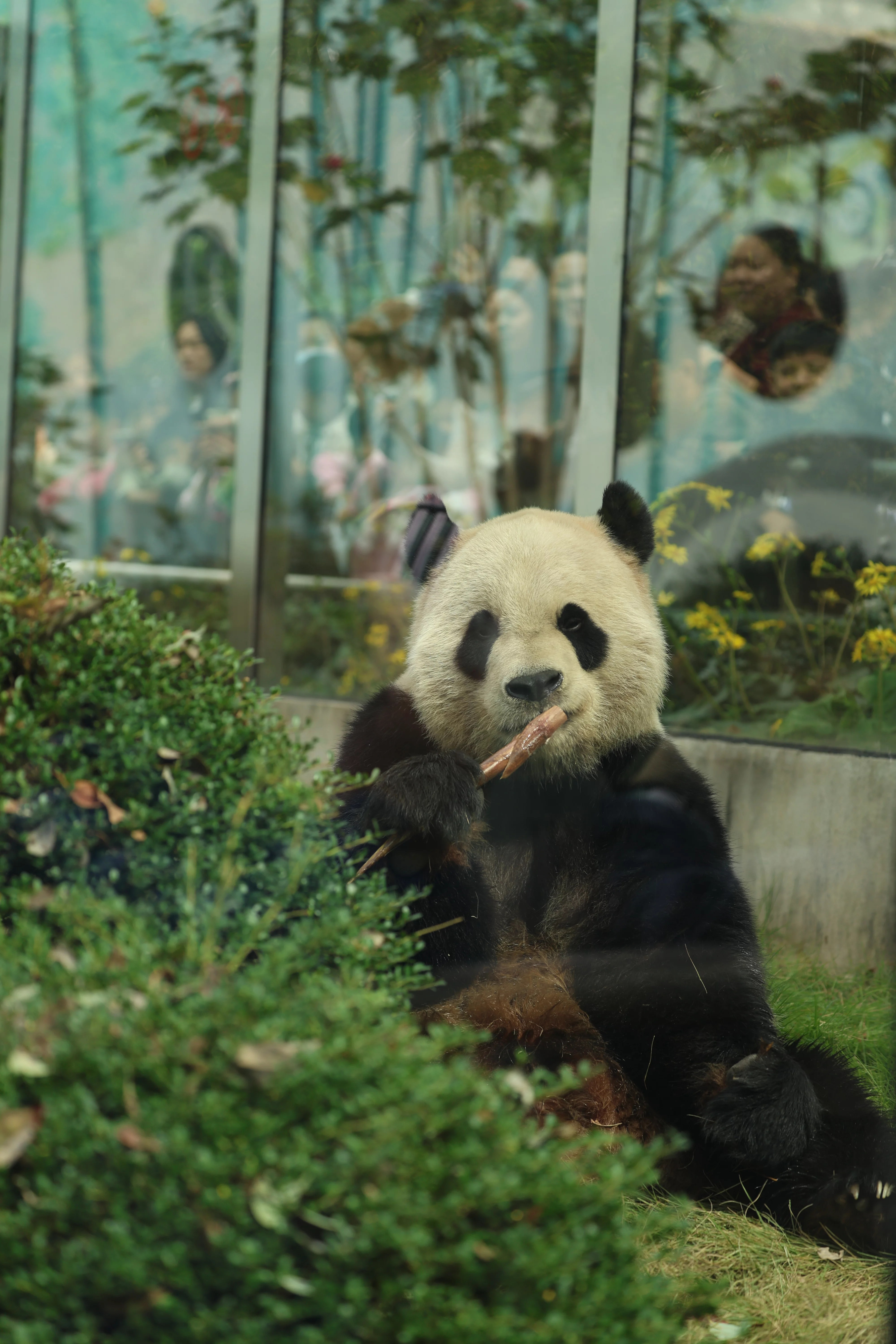 Wenzhou Zoo