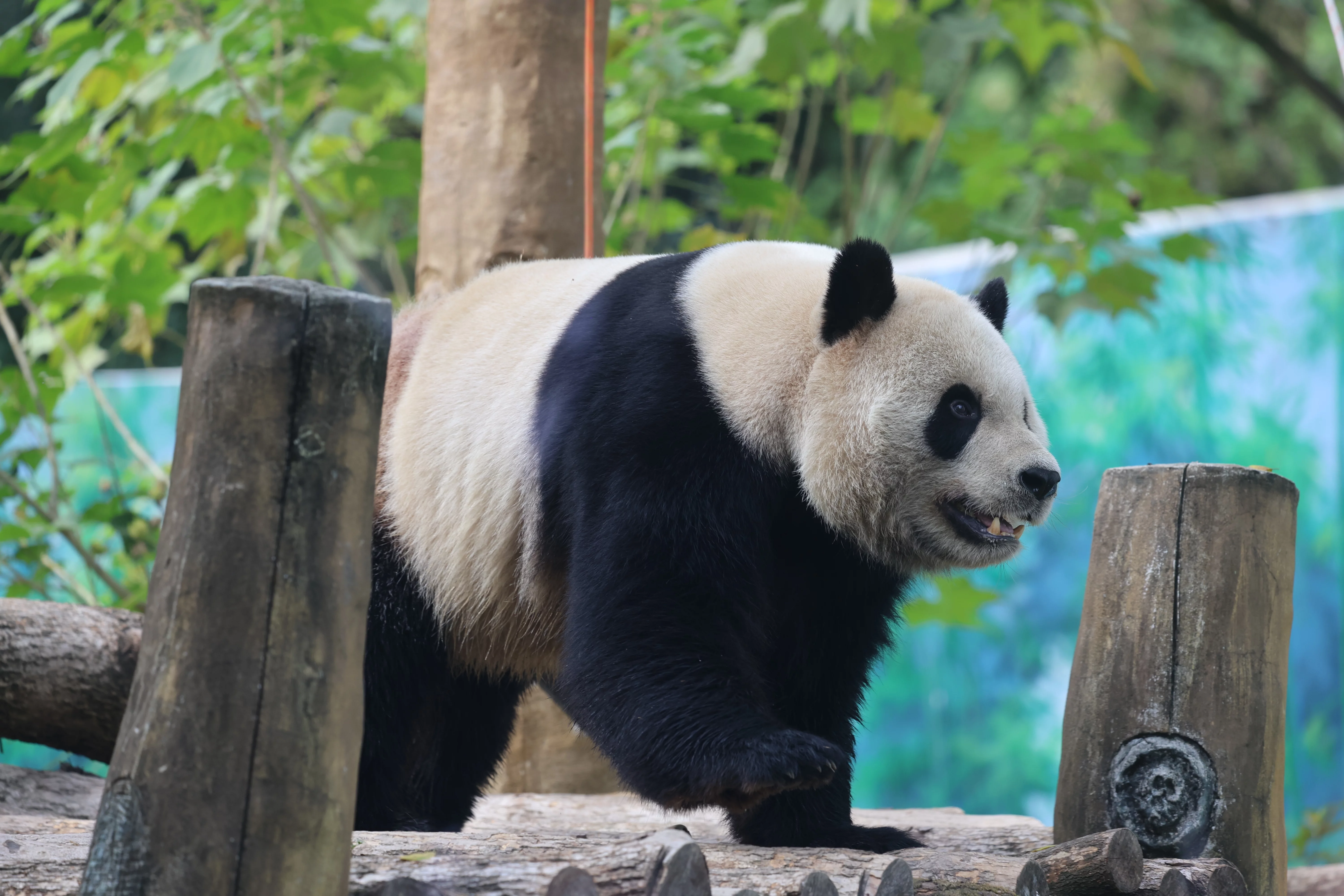 Wenzhou Zoo