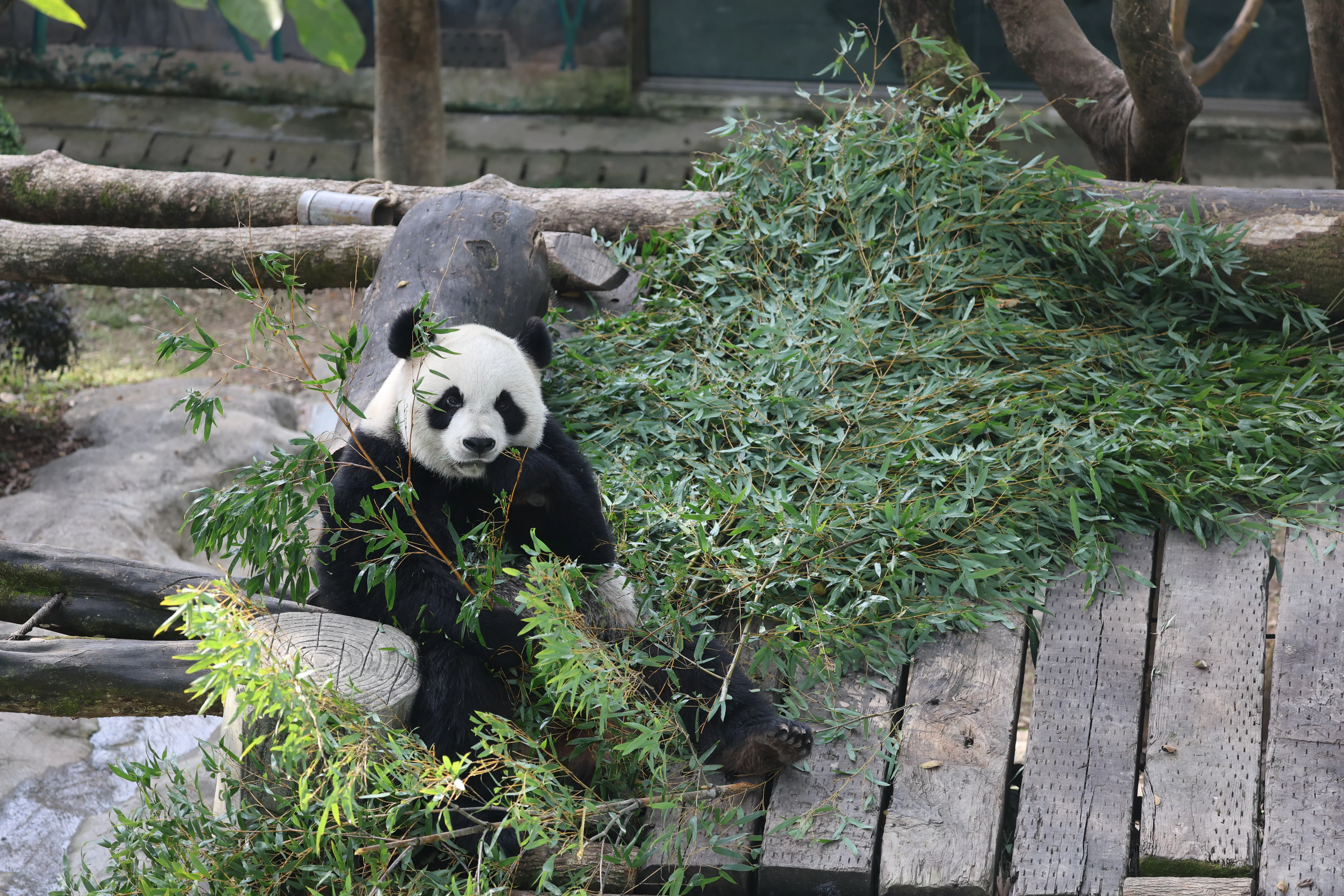 Wenzhou Zoo