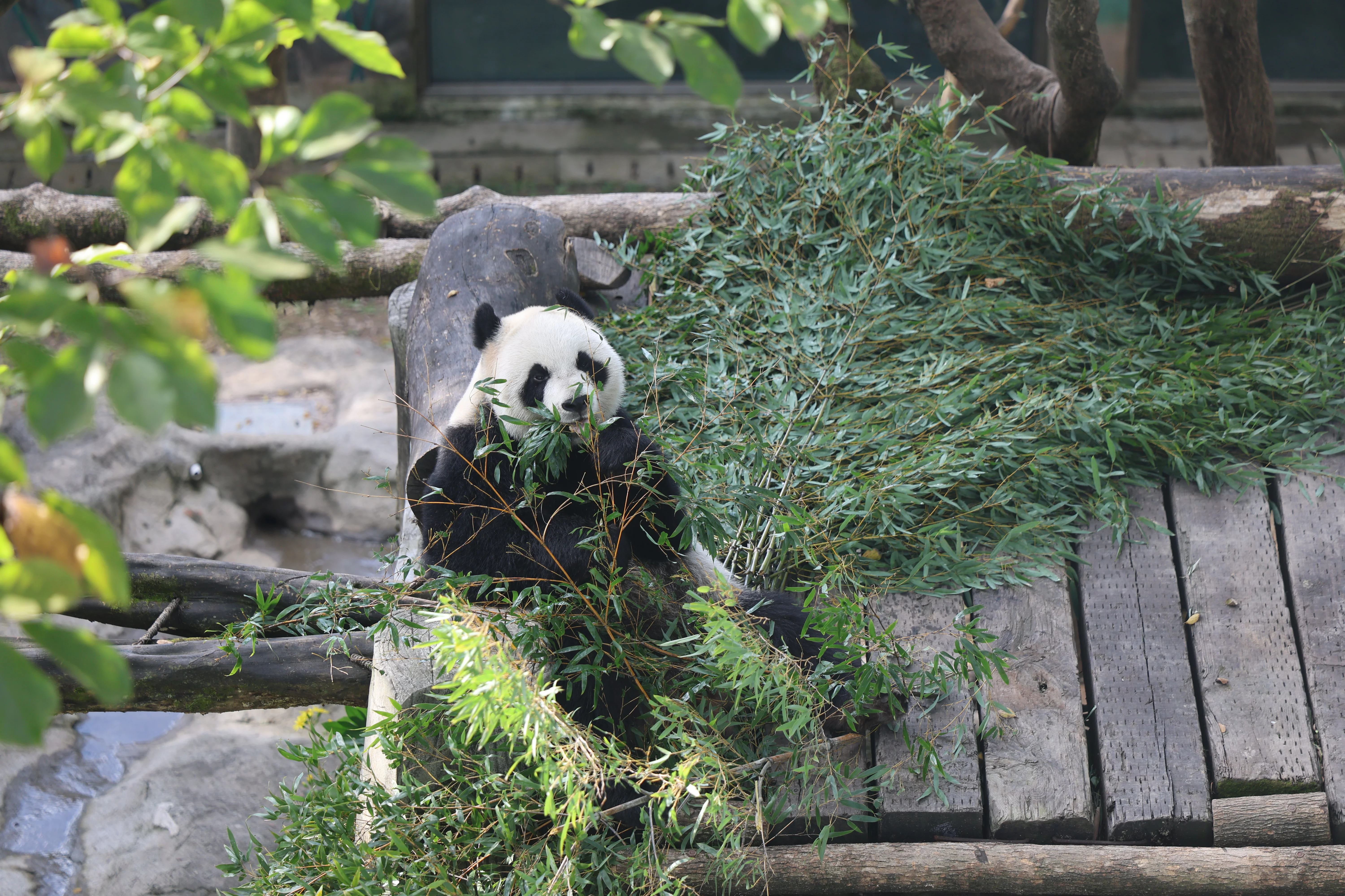 Wenzhou Zoo