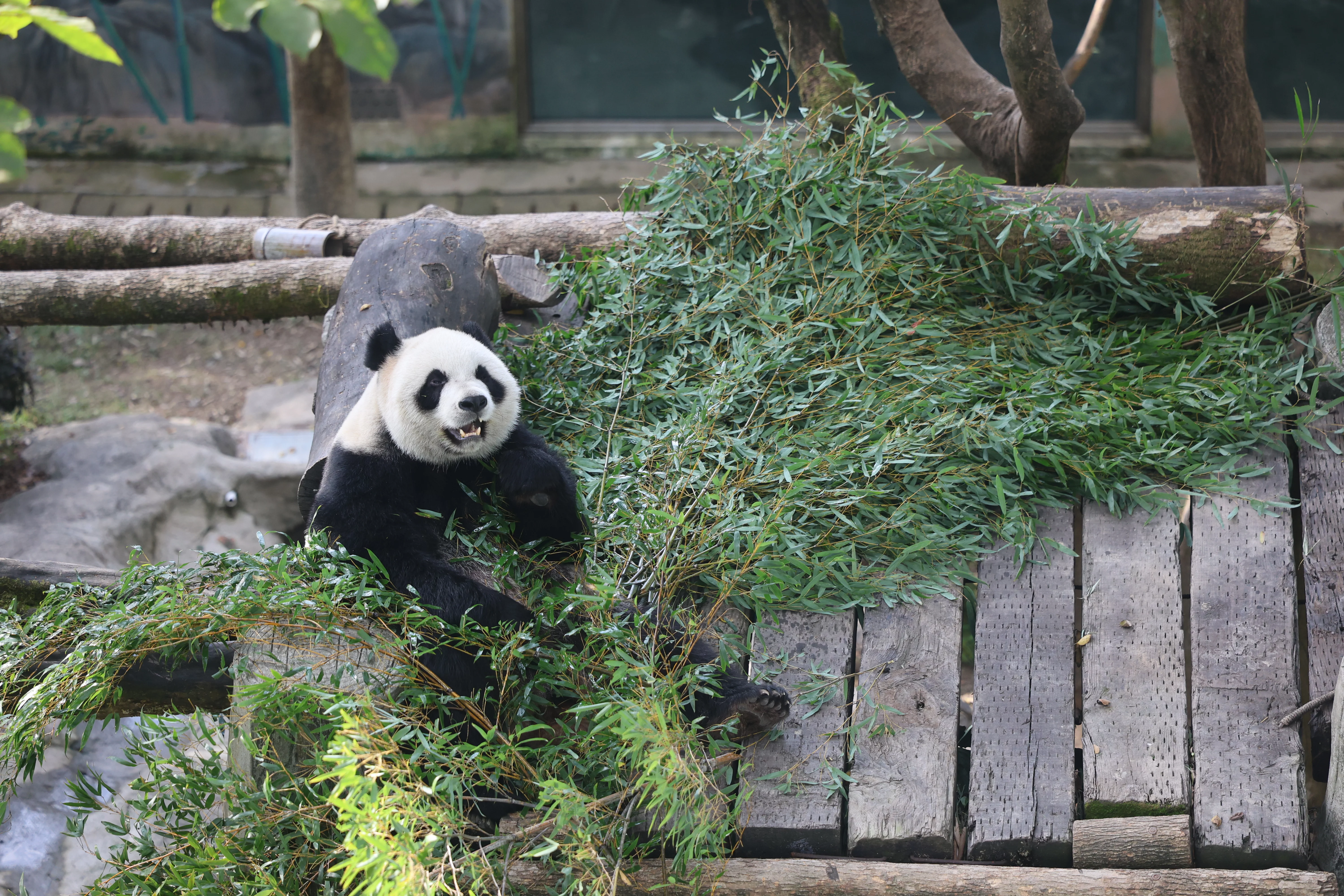 Wenzhou Zoo