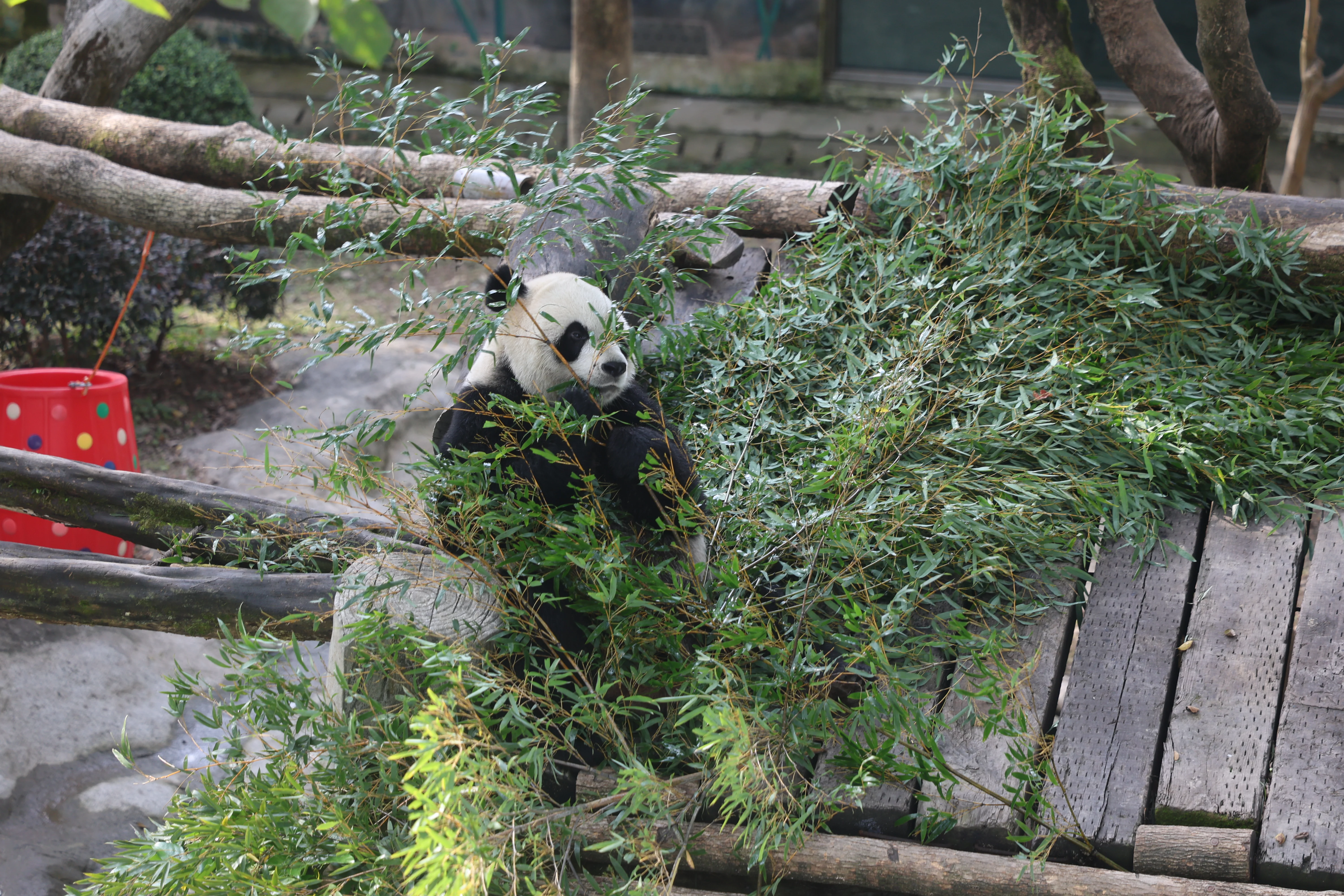 Wenzhou Zoo