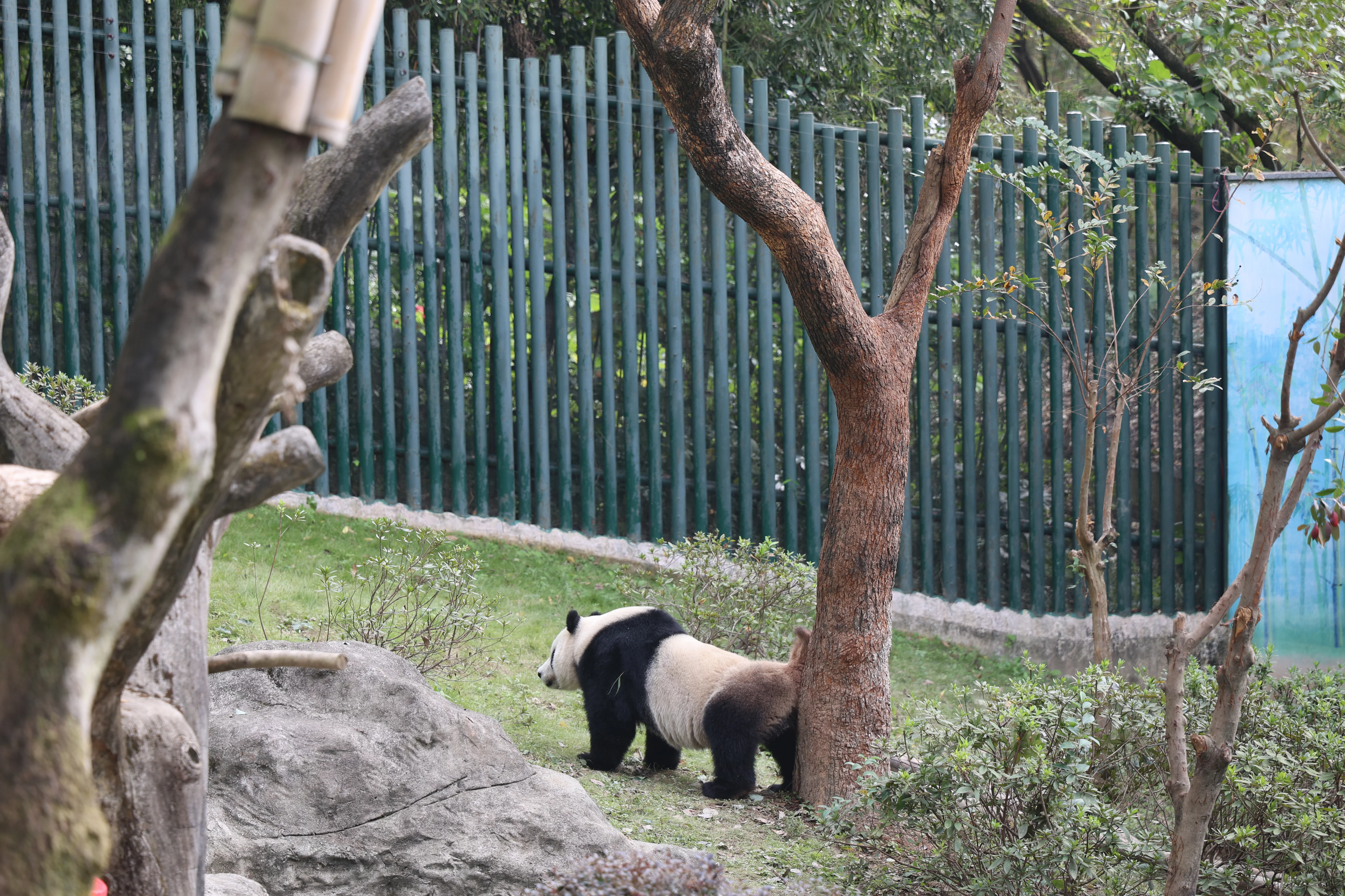 Wenzhou Zoo