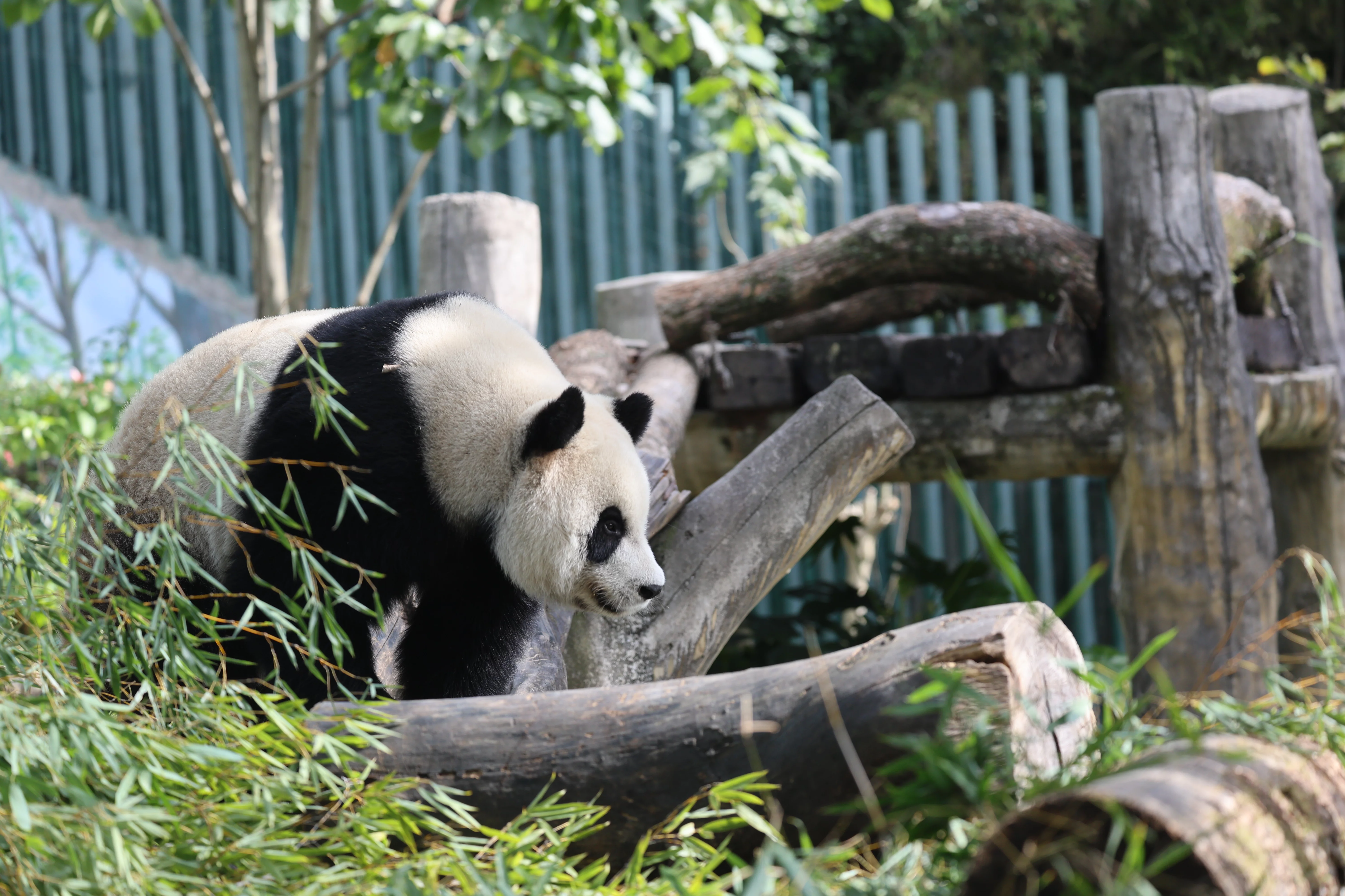 Wenzhou Zoo