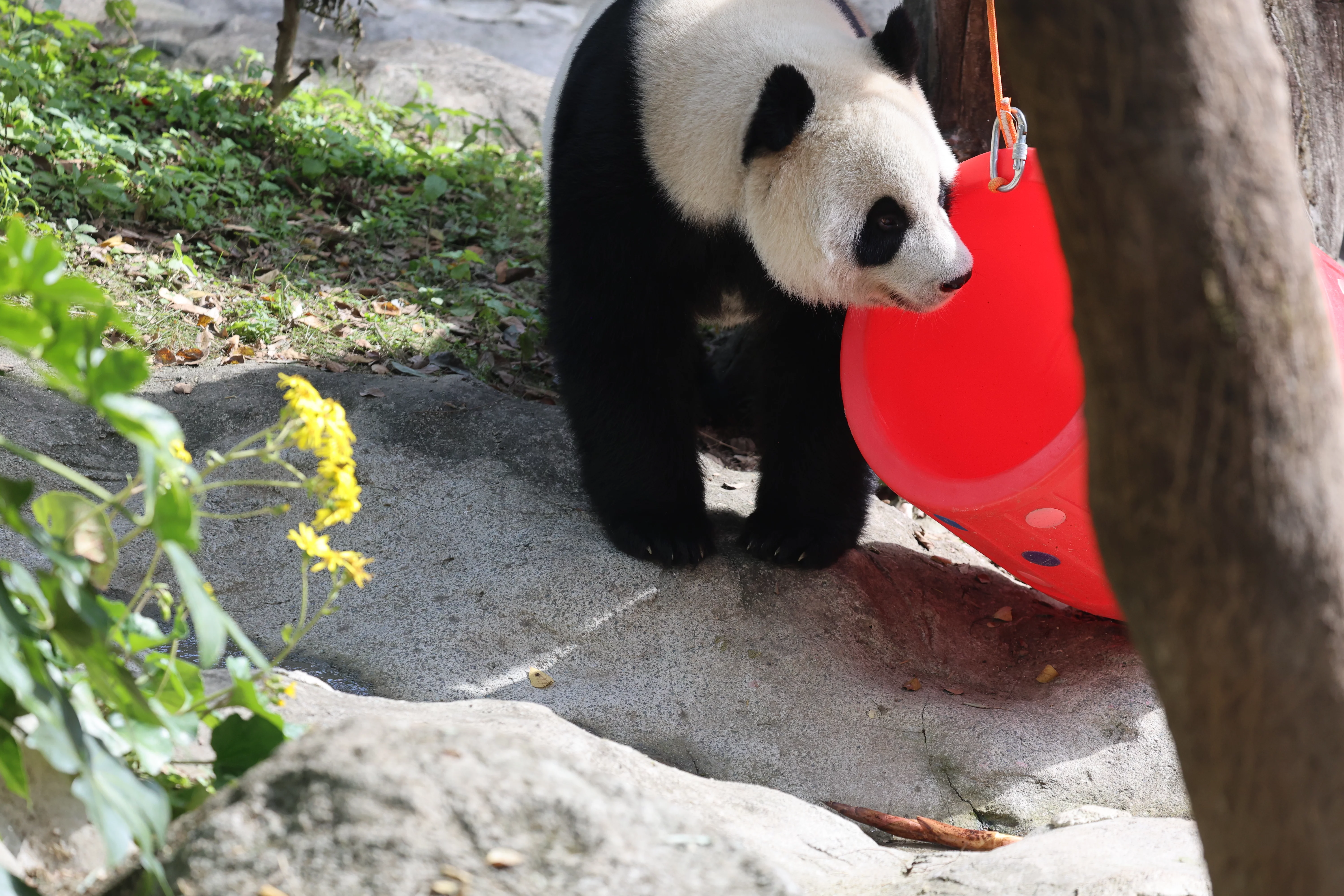 Wenzhou Zoo