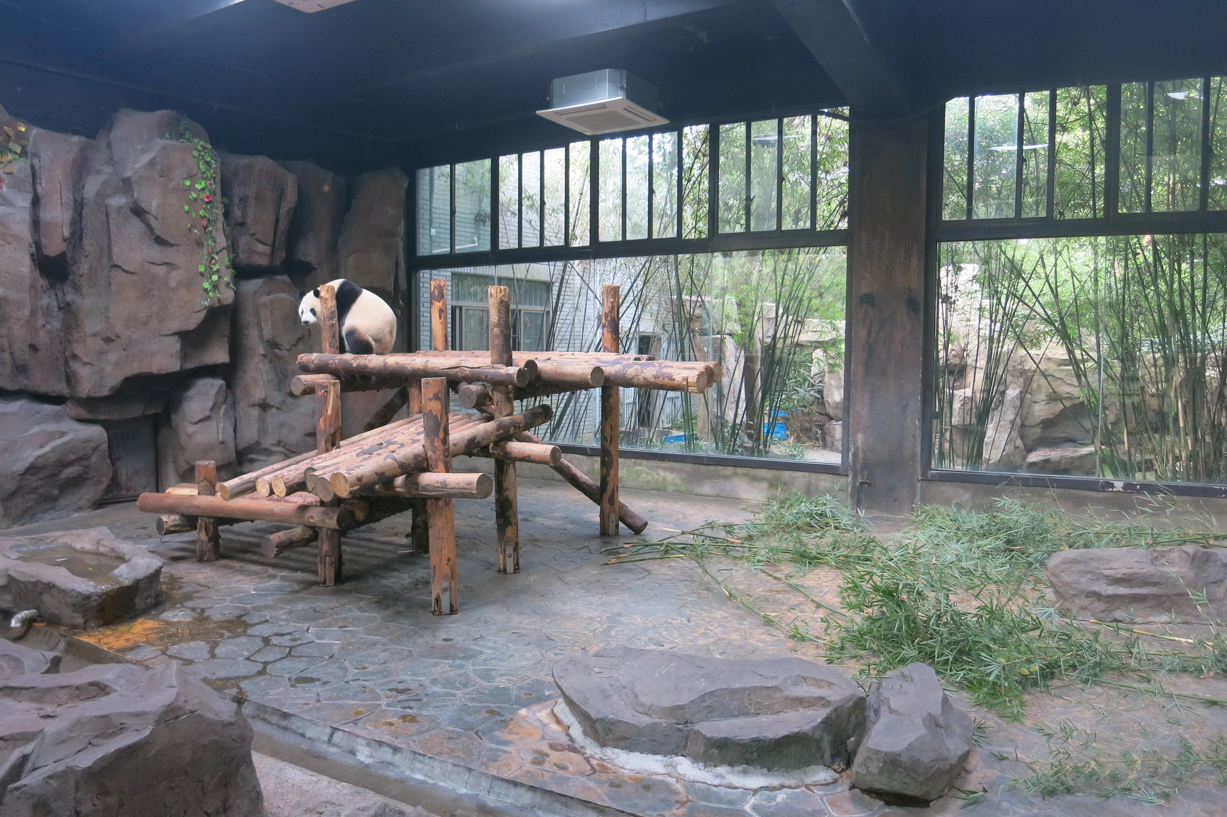 Shanghai Wild Animal Park