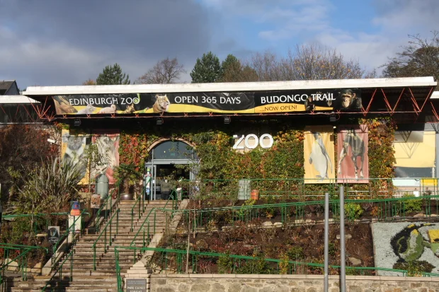 Official Statement from Edinburgh Zoo