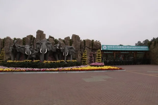 Pambassador @ Changsha Ecological Zoo