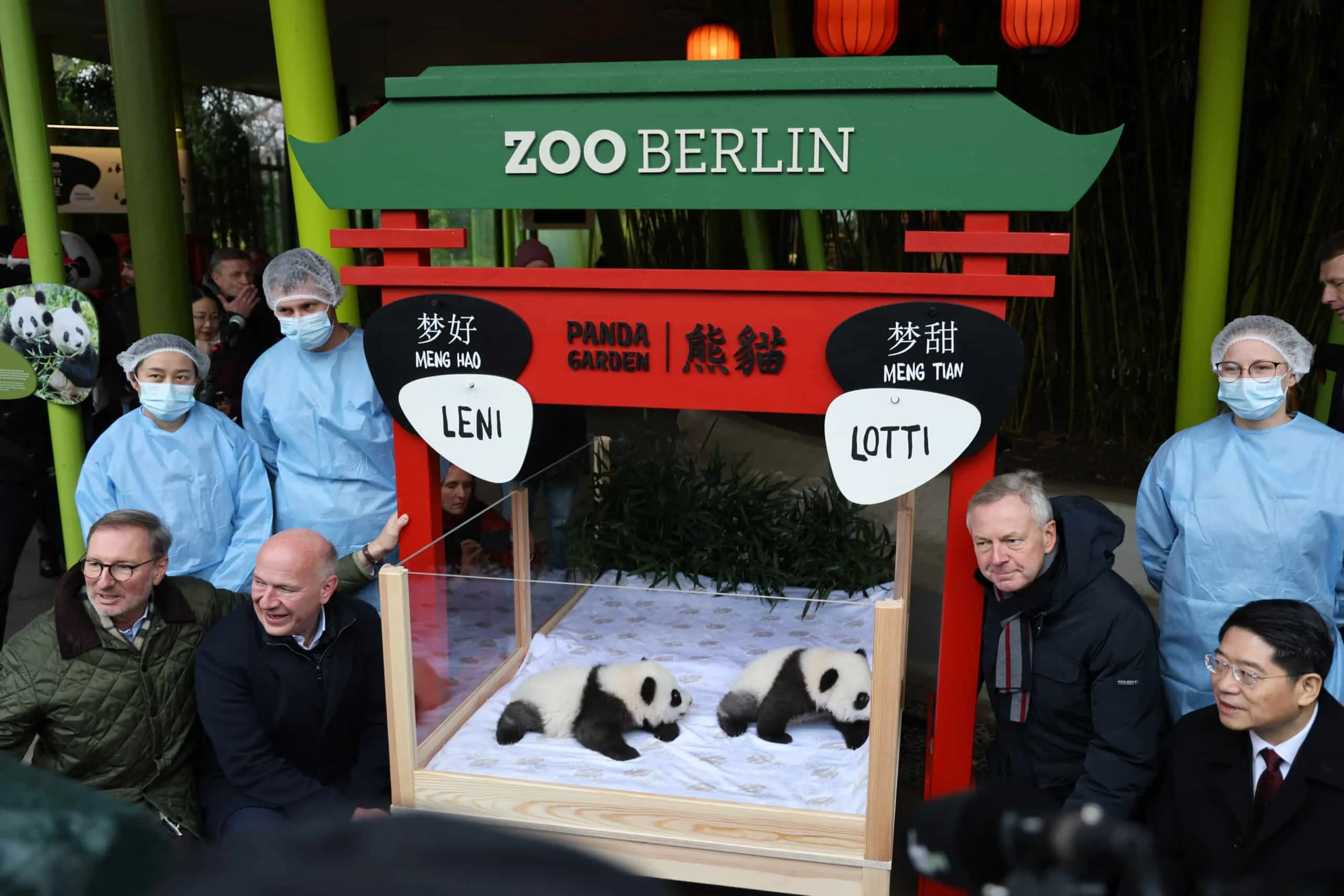 Zoo Berlin's second pair of panda twins was named