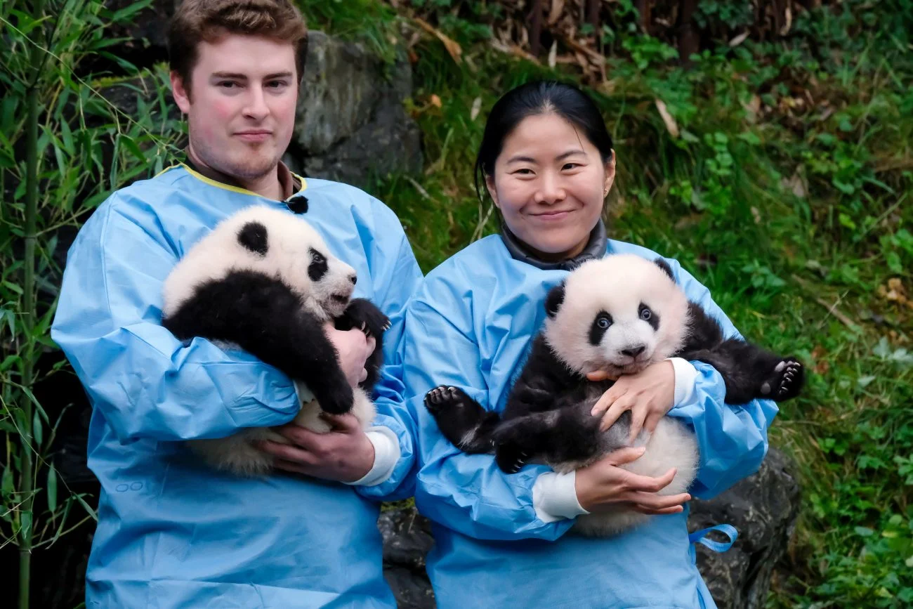 Belgian twins named Bao Di &amp; Bao Mei