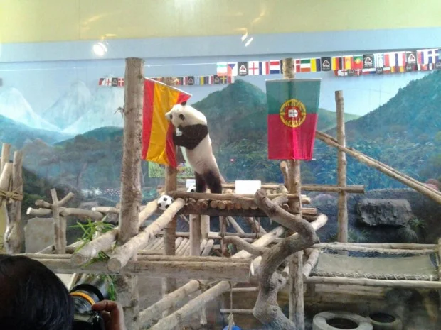 Lin Ping predicts Spain to win European Soccer Cup