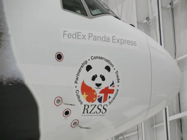 FedEx Panda Express: How Do You Move a Panda