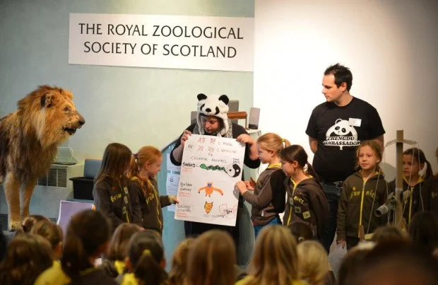 Pambassador 2012: European Semi-Finals - day 1