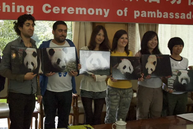 6 Pambassadors working with the star pandas in Chengdu