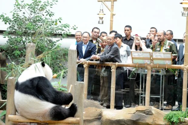 Malaysian King and Queen visit Liang Liang &amp;amp; Xing Xing