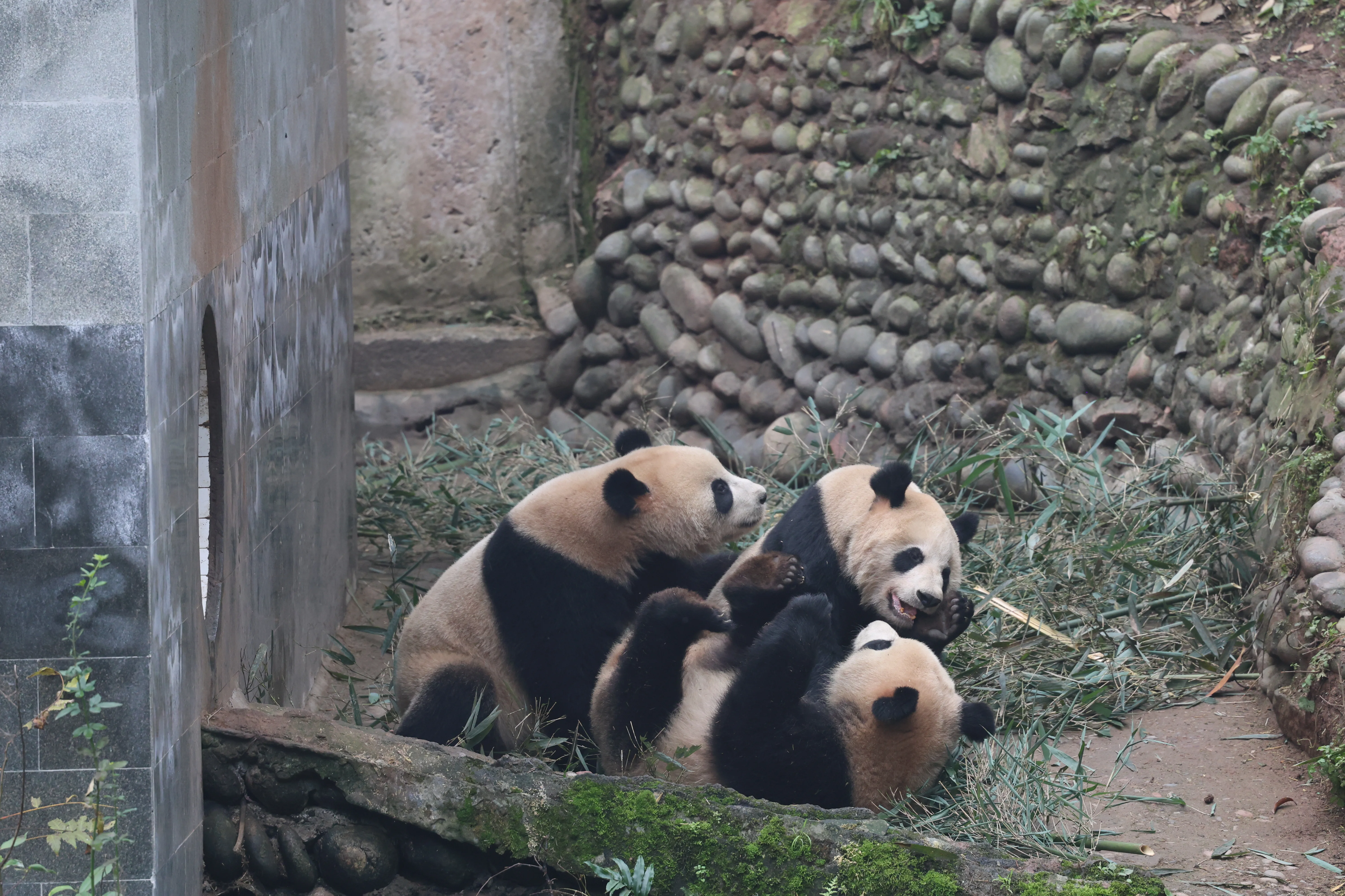 Qian Zhen
