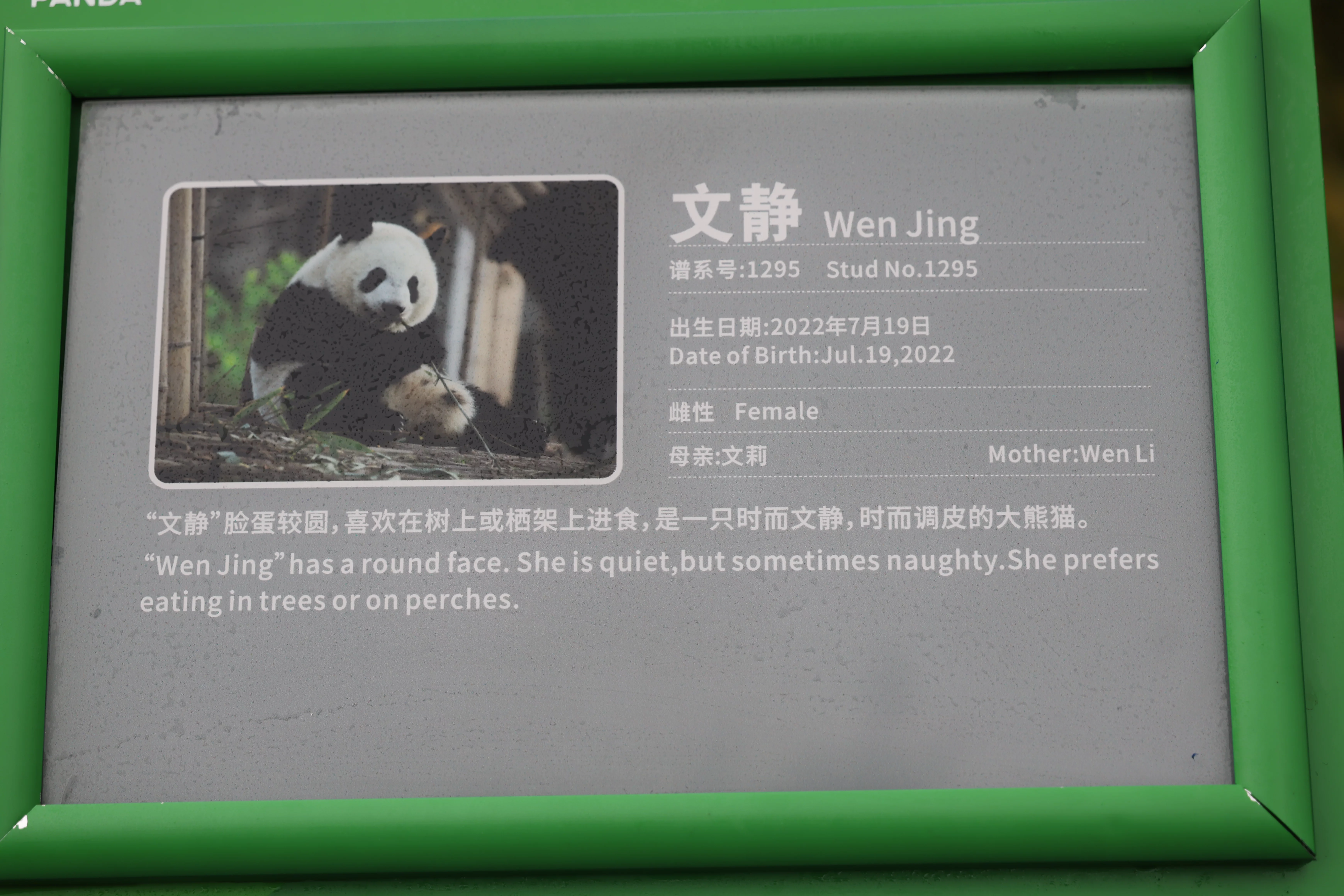 Wen Jing