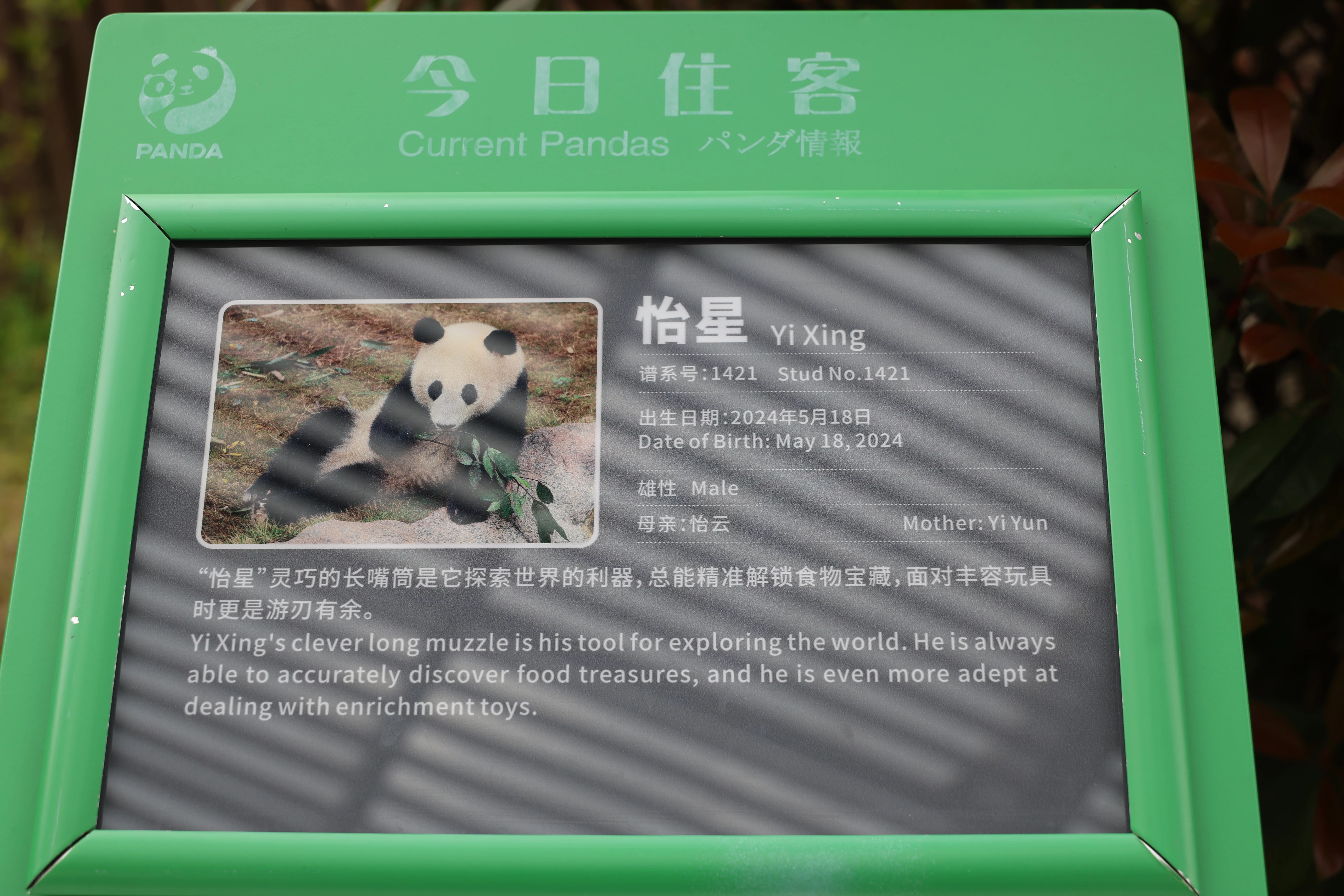 Yi Xing