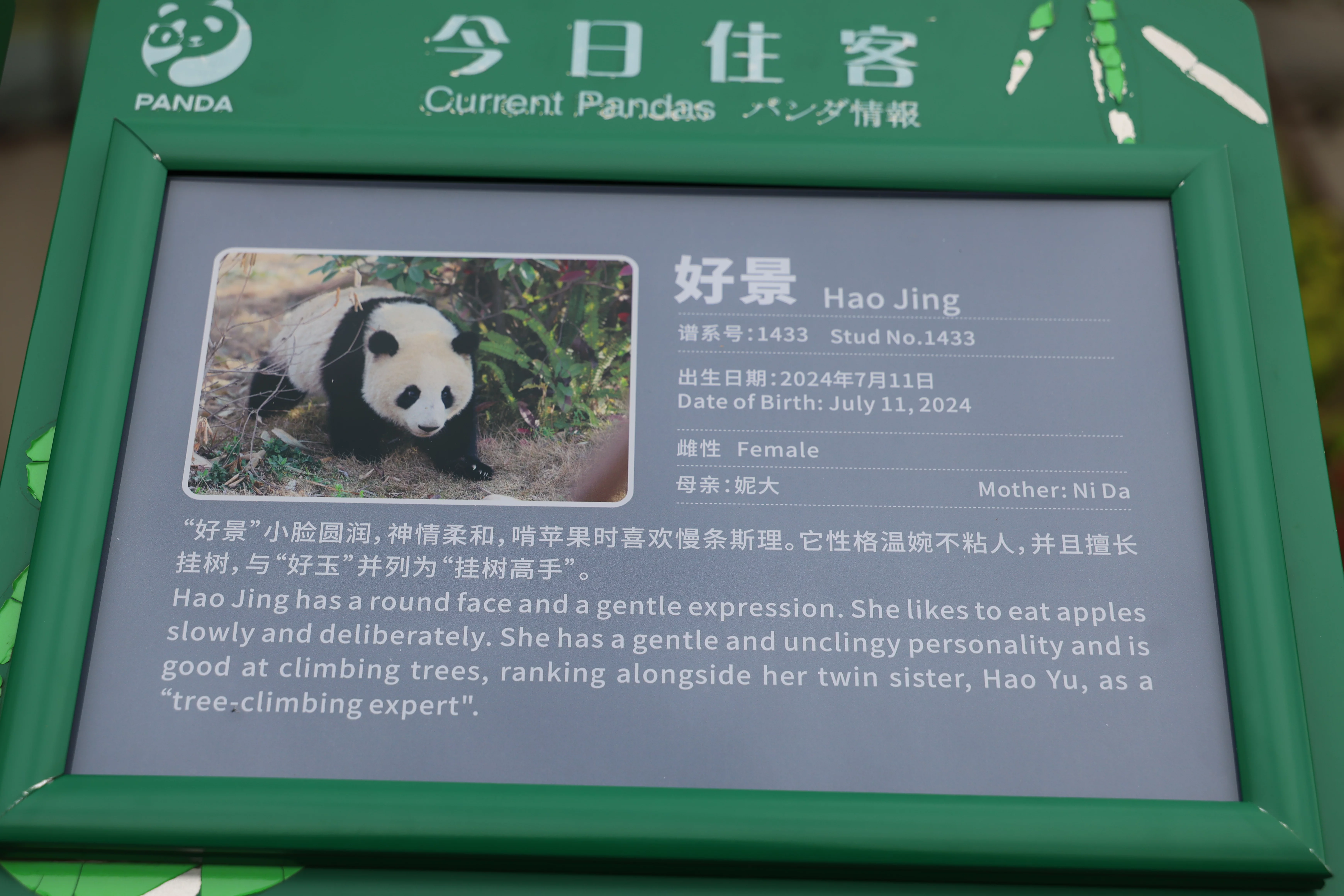 Hao Jing