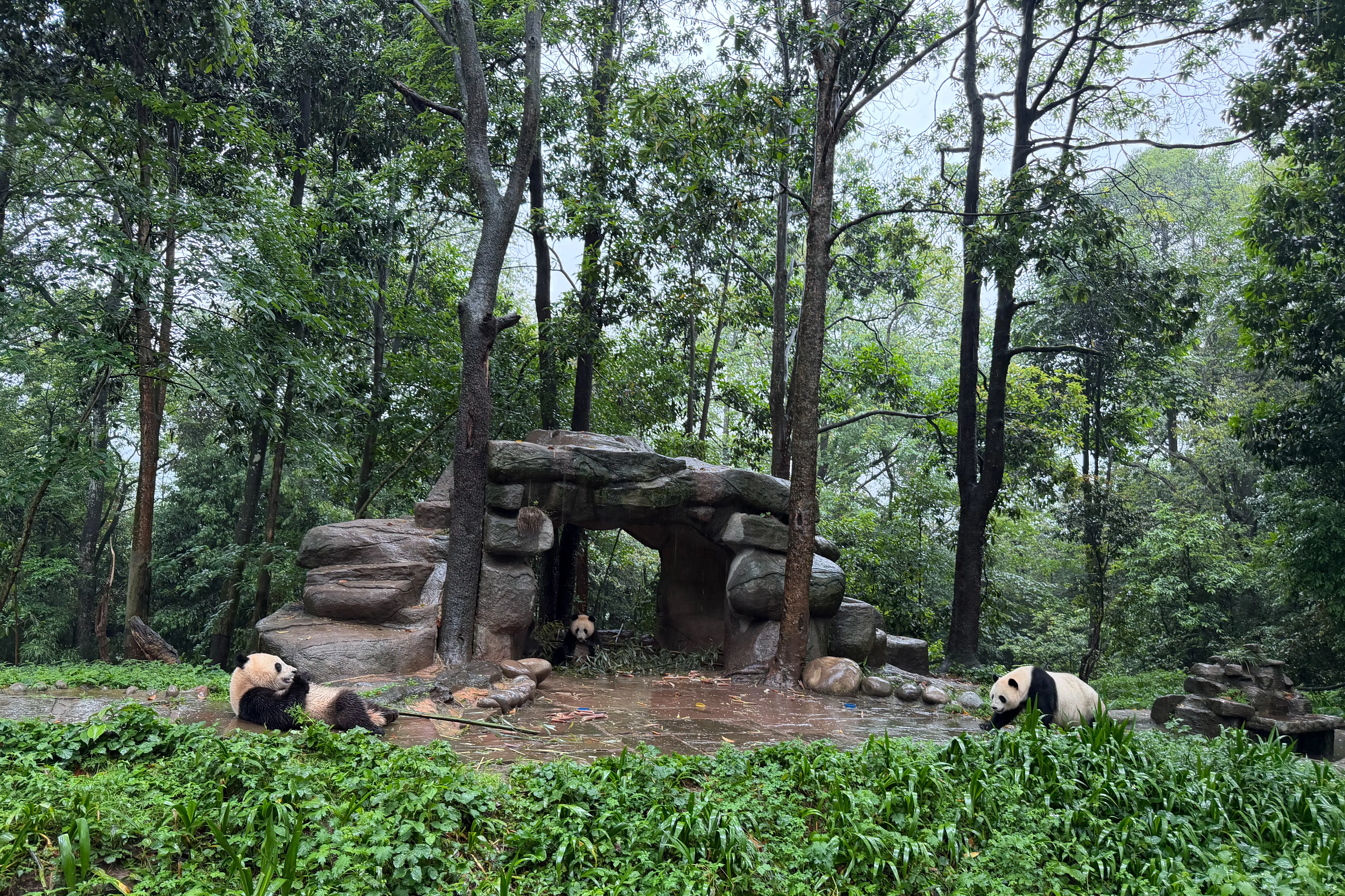 Qian Xi